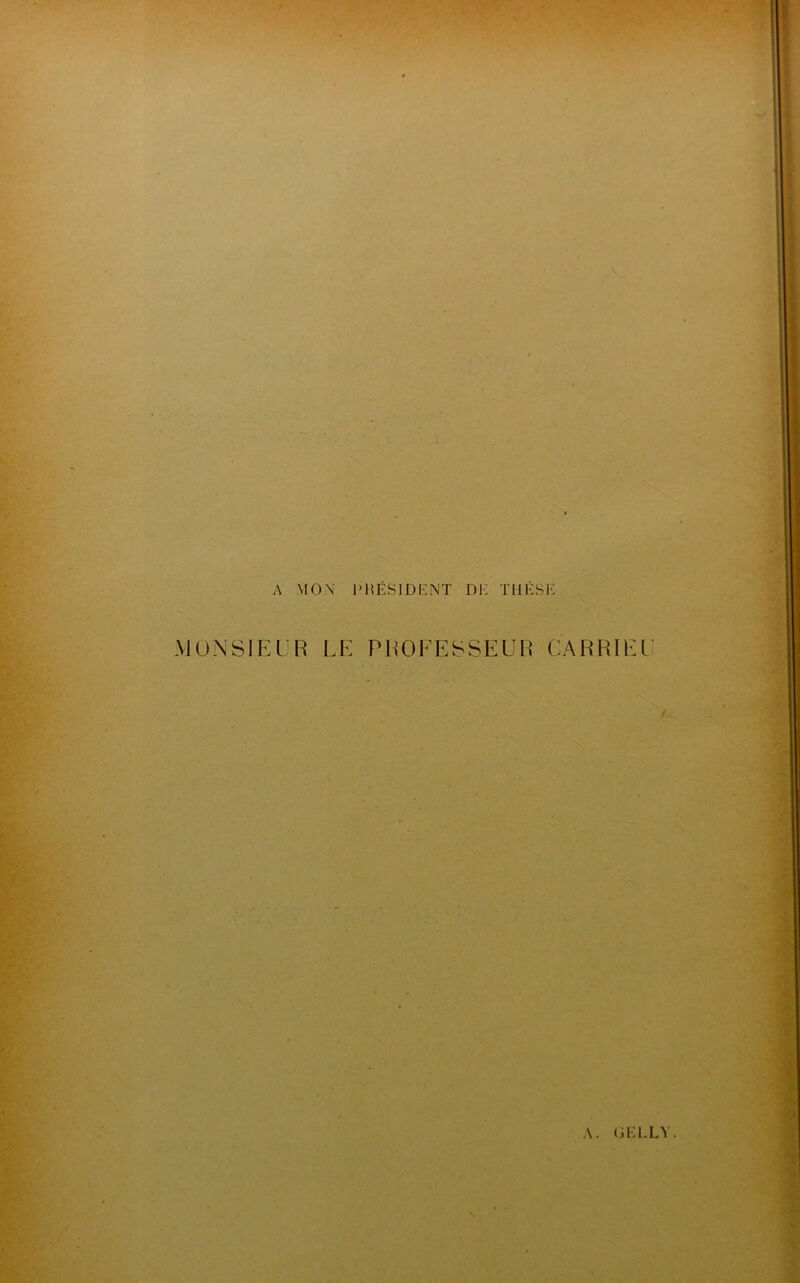 A MON PRÉSIDENT DH THÈSE MONSIEUR LE PROFESSEUR CARRIEL