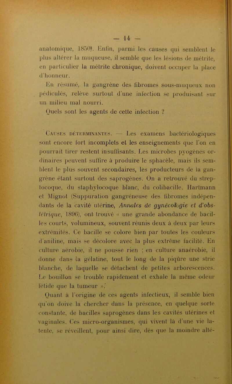 anatomique, 1850). Enfin, parmi les causes qui semblent le plus altérer la muqueuse, il semble que les lésions de mélrite, en particulier la métrite chronique, doivent occuper la place d’honneur. En résumé, la gangrène des fibromes sous-muqueux non pédicules, relève surtout d’une infection se produisant sur un milieu mal nourri. Quels sont les agents de cette infection ? Causes déterminantes. — Les examens bactériologiques sont encore fort incomplets et les enseignements que l’on en pourrait tirer restent insuffisants. Les microbes pyogènes or- dinaires peuvent suffire à produire le sphacèle, mais ils sem- blent le plus souvent secondaires, lès producteurs de la gan- grène étant surtout des saprogènes. On a retrouvé du strep- tocoque, du staphylocoque blanc, du colibacille. Hartmann et Mignot (Suppuration gangréneuse des fibromes indépen- dants de la cavité utérine, Annales de ggnécohgie et d'obs- tétrique:, 1896), ont trouvé « une grande abondance de bacil- les courts, volumineux, souvent réunis deux à deux par leurs extrémités. Ce bacille se colore bien par toutes les couleurs d’aniline, mais se décolore avec la plus extrême facilité. En culture aérobie, il ne pousse rien ; en culture anaérobie, il donne dans la gélatine, tout le long de la piqûre une strie blanche, de laquelle se détachent de petites arborescences. Le bouillon se trouble rapidement et exhale la même odeur fétide que la tumeur ».' Quant à l’origine de ces agents infectieux, il semble bien qu’on doive la chercher dans la présence, en quelque sorte constante, de bacilles saprogènes dans les cavités utérines el vaginales. Ces micro-organismes, qui vivent là d’une vie la- tente, se réveillent, pour ainsi dire, dès que la moindre allé-