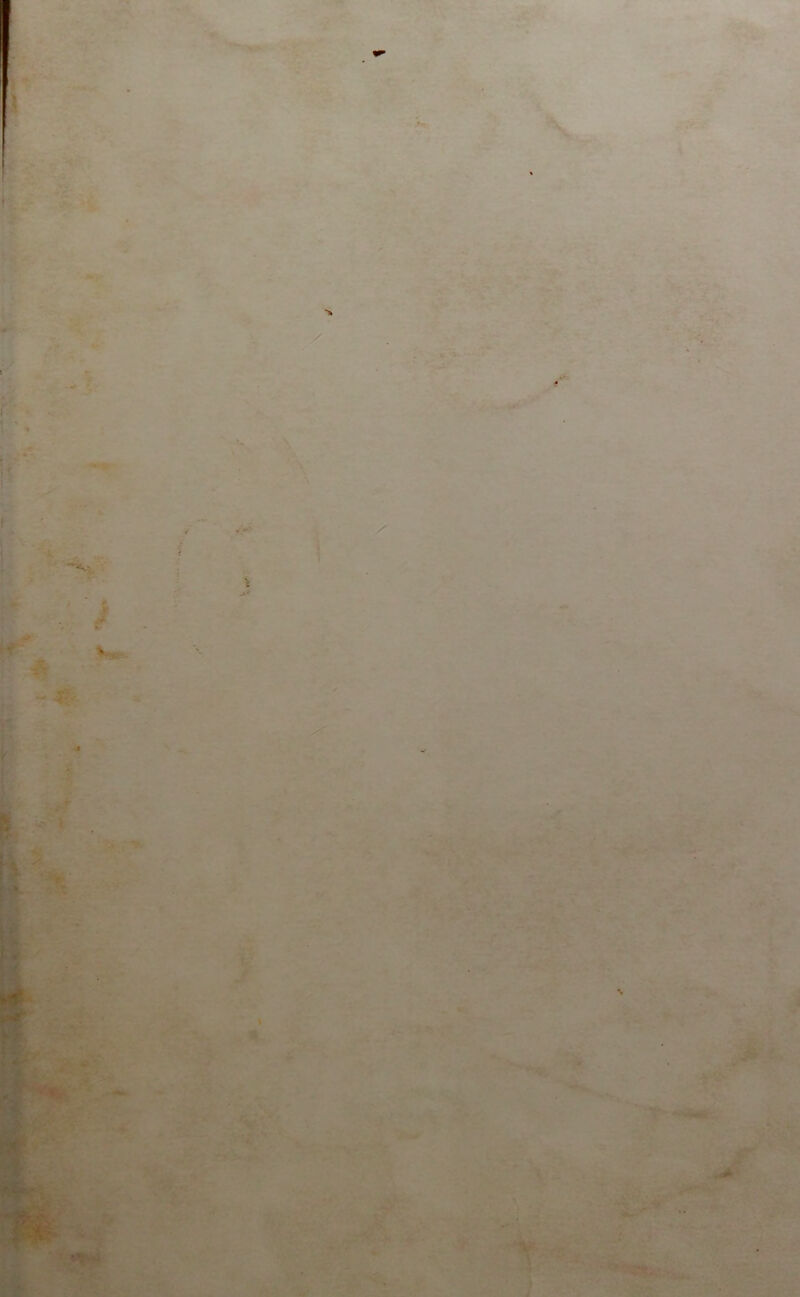 .y t i -dw. !/V‘- • *. >.' -T^f' ■-W A-, ■k !T ;V’.‘ Xr. . 'fc •■ . ■ ' ^ « >1 1^: ♦ * •* . ^*- /i^- •J»*' ': ;Jf é' ;:.. ■*■ -.'. ■ ^ :î