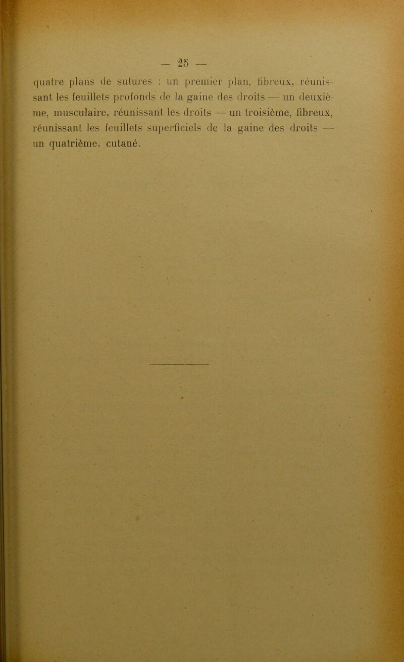 quatre plans de sutures : un premier jilan, tibi-eux, réunis- sant les feuillets profonds de la gaine des droits — un deuxiè- me, musculaire, réunissant les droits — un troisième, fibreux, réunissant les feuillets superficiels de la gaine des droits — un quatrième, cutané.