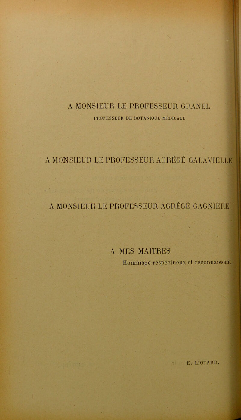 A MONSIEUR LE PROFESSEUR GRANEL TROFESSEUR DE BOTANIQUE MÉDICALE A MONSIEUR LE PROFESSEUR AGRÉGÉ GALAVIELLE A MONSIEUR LE PROFESSEUR AGRÉGÉ GAGNIÉRE A MES MAITRES Hommage respectueux et reconnaissant.