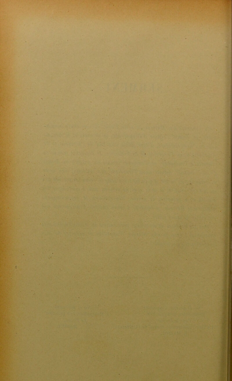 . - y ' . • . ; ■ ■ S . v\ m