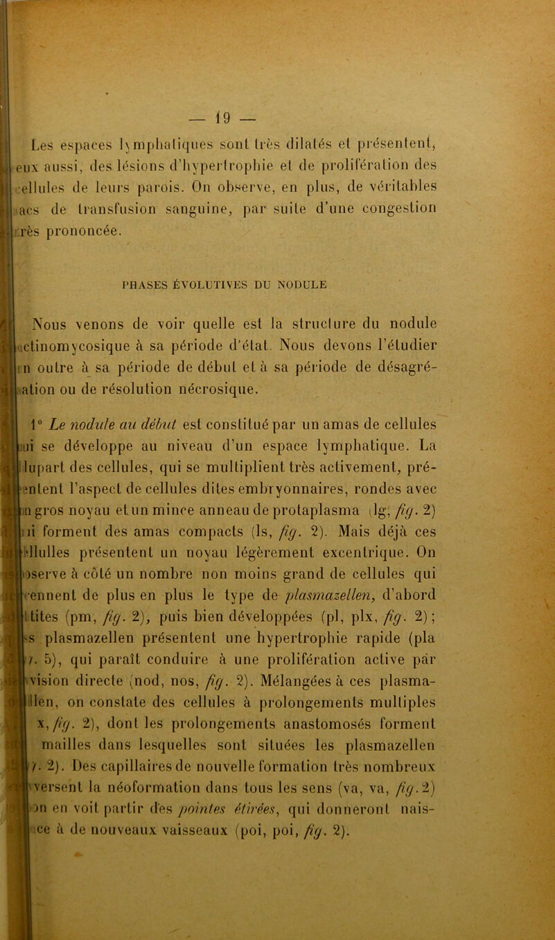 Les espaces 1\mplialiques sont lies dilatés et présentent, eux aussi, des lésions d'hypertrophie et de prolifération des ellules de leurs parois. On observe, en plus, de véritables aes de transfusion sanguine, par suite d’une congestion :;rès prononcée. -y PHASES ÉVOLUTIVES DU NODULE Nous venons de voir quelle est la structure du nodule uctinomycosique à sa période d’état. Nous devons l’étudier in outre à sa période de début et à sa période de désagré- ation ou de résolution nécrosique. 1° Le nodule au début est constitué par un amas de cellules ni se développe au niveau d’un espace lymphatique. La lupart des cellules, qui se multiplient très activement, pré- vient l’aspect de cellules dites embryonnaires, rondes avec m gros noyau et un mince anneau de protaplasma ilg; fig. 2) ni forment des amas compacts (ls, fig. 2). Mais déjà ces dlulles présentent un noyau légèrement excentrique. On iserve à côté un nombre non moins grand de cellules qui ennent de plus en plus le type de plasmazellen, d’abord ; tites (pm, fig. 2), puis bien développées (pl, plx, fig. 2); s plasmazellen présentent une hypertrophie rapide (pla h 5), qui paraît conduire à une prolifération active par vision directe (nod, nos, fig. 2). Mélangées à ces plasma- lien, on constate des cellules à prolongements mulliples x,//ÿ. 2), dont les prolongements anastomosés forment mailles dans lesquelles sont situées les plasmazellen /. 2). Des capillaires de nouvelle formation très nombreux versent la néoformation dans tous les sens (va, va, fig.2) on en voit partir des pointes étirées, qui donneront nais- se à de nouveaux vaisseaux (poi, poi, fig. 2).