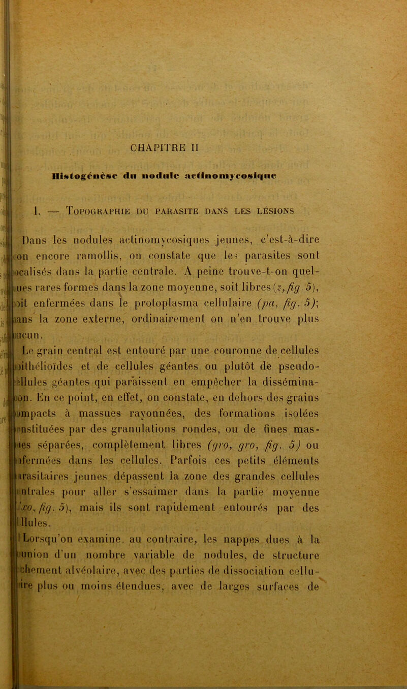 1. Histogénèse «lu nodule actlnomveosiqiie Topographie du parasite dans les lésions Dans les nodules actiriomycosiques jeunes, c’est-à-dire on encore ramollis, on constate que les parasites sont icalisés dans la partie centrale. A peine trouve-t-on quel- ues rares formes dans la zone moyenne, soit libres {z,fig 5), lit enfermées dans le protoplasma cellulaire (pa, fig. 5)\ .ans la zone externe, ordinairement on n’en trouve plus îcu n. Le grain central est entouré par une couronne de cellules lithélioïdes et de cellules géantes ou plutôt de pseudo- dlules géantes qui paraissent en empêcher la dissémina- is jon. En ce point, en elfet, on constate, en dehors des grains impacts à massues rayonnées, des formations isolées instituées par des granulations rondes, ou de fines mas- les séparées, complètement libres (gro, gro, fig. 5) ou «fermées dans les cellules. E’arfois ces petits éléments irasitairas jeunes dépassent la zone des grandes cellules ■•n traies pour aller s’essaimer dans la partie moyenne 'ro, fig. .5), mais ils sont rapidement entourés par des llules. ! Lorsqu’on examine, au contraire, les nappes dues à la union d’un nombre variable de nodules, de structure chement alvéolaire, avec des parties de dissociation cellu- ire plus ou moins étendues, avec de larges surfaces de