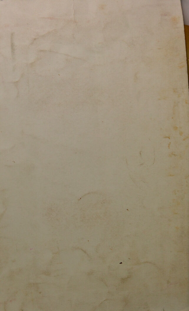 digitised image 2