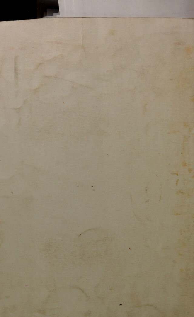 digitised image 2