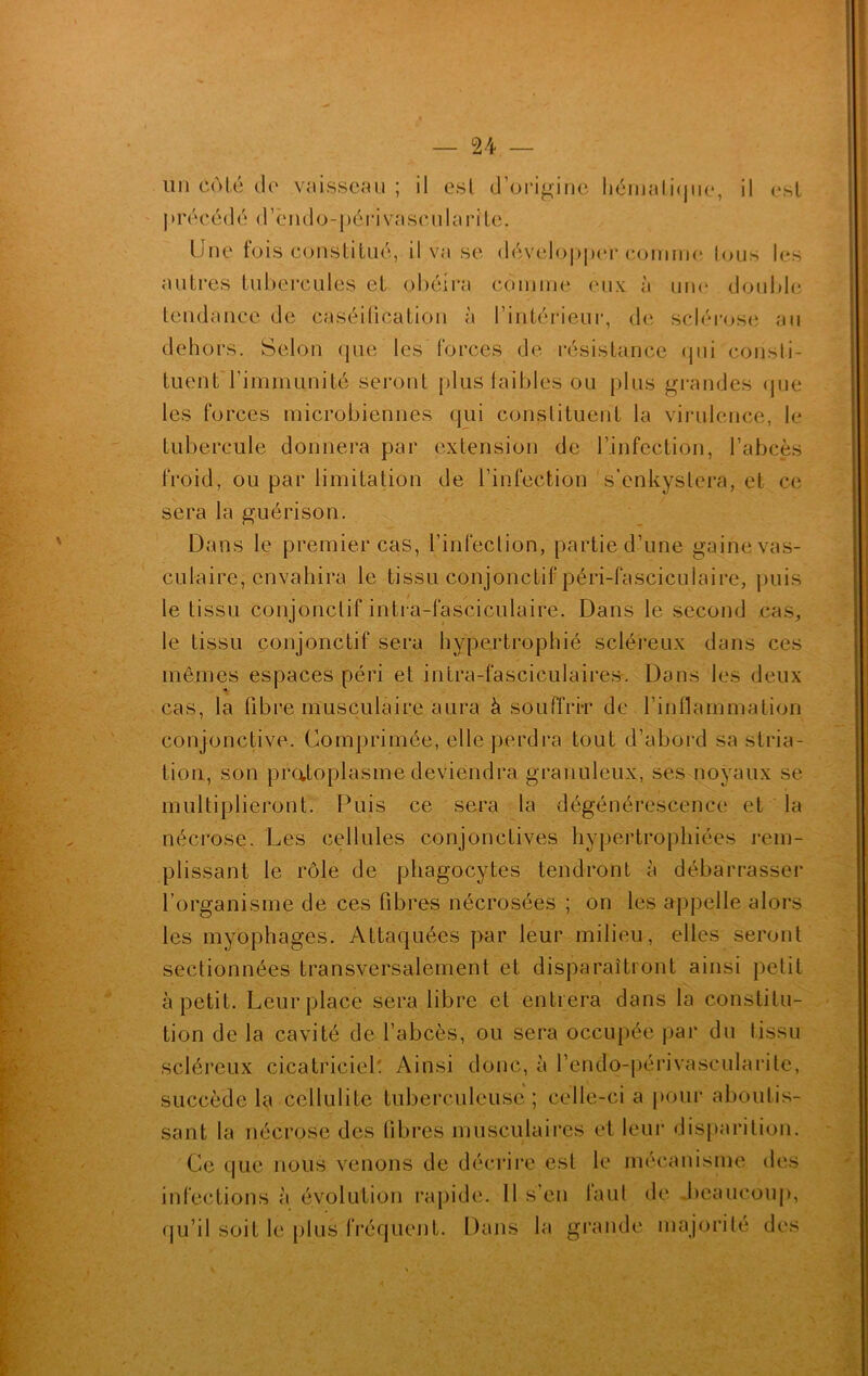 un côté do vaisseau ; il est d’origine hématique, il est p r é c é d é d ’ è n d o - p é r i v a s c u I a r i t e. Une fois constitué, il va se développer comme tous les autres tubercules et obéira comme eux à une double tendance de caséification à l'intérieur, de sclérose au dehors. Selon que les forces de résistance qui consti- tuent l’immunité seront plus faibles ou plus grandes que les forces microbiennes qui constituent la virulence, le tubercule donnera par extension de l’infection, l’abcès froid, ou par limitation de l’infection s’enkystera, et ce sera ison. Dans le premier cas, l’infection, partie d’une gaine vas- culaire, envahira le tissu conjonctif péri-fasciculaire, puis le tissu conjonctif intra-fasciculaire. Dans le second cas, le tissu conjonctif sera hypertrophié scléreux dans ces mêmes espaces péri et intra-fasciculaires. Dans les deux cas, la fibre musculaire aura à souffrir de l’inflammation conjonctive. Comprimée, elle perdra tout d’abord sa stria- tion, son protoplasme deviendra granuleux, ses noyaux se multiplieront. Puis ce sera la dégénérescence et la nécrose. Les cellules conjonctives hypertrophiées rem- plissant le rôle de phagocytes tendront à débarrasser l’organisme de ces fibres nécrosées ; on les appelle alors les myophages. Attaquées par leur milieu, elles seront sectionnées transversalement et disparaîtront ainsi petit à petit. Leur place sera libre et entrera dans la constitu- tion de la cavité de l’abcès, ou sera occupée par du tissu scléreux cicatriciel. Ainsi donc, à l’endo-périvascularite, succède la cellulite tuberculeuse; celle-ci a pour aboutis- sant la nécrose des libres musculaires et leur disparition. Ce que nous venons de décrire est le mécanisme des infections à évolution rapide. Il s’en faut de beaucoup, qu’il soit le plus fréquent. Dans la grande majorité des