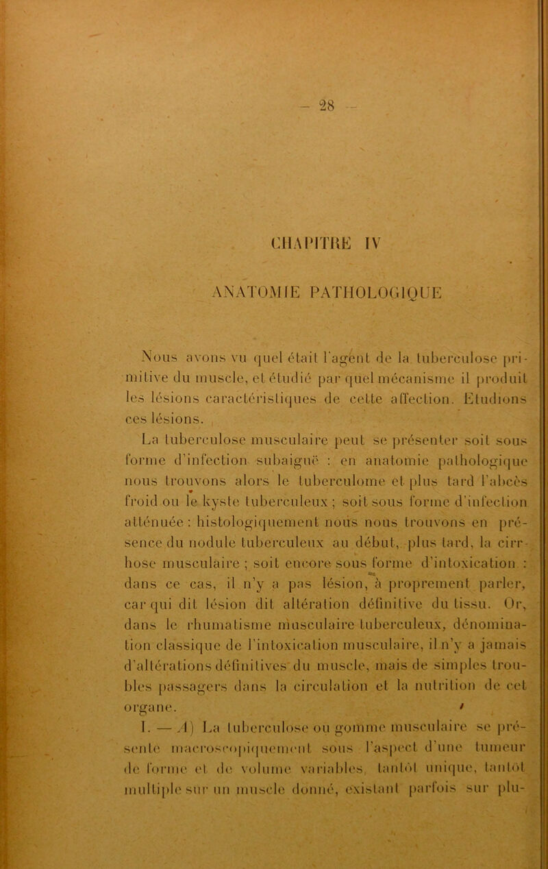 *********** À , v » '• ANATOMIE PATHOLOGIQUE avons vu quel était l’agent de la tuberculose pri- mitive du muscle, et étudié par quel mécanisme il produit les lésions caractéristiques de cette affection. Etudions ces lésions. La tuberculose musculaire peut se présenter soit sous forme d’infection subaiguë : en anatomie pathologique nous trouvons alors le tuberculome et plus tard l’abcès froid ou le kyste tuberculeux; soit sous forme d’infection atténuée: histologiquement nous nous trouvons en pré- sence du nodule tuberculeux au début, plus lard, la cirr- hose musculaire; soit encore sous formé d’intoxication : *« dans ce cas, il n’y a pas lésion, à proprement parler, car qui dit lésion dit altération déünitive du tissu. Or, dans le rhumatisme musculaire tuberculeux, dénomina- tion classique de l’intoxication musculaire, il n’y a jamais d’altérations définitives du muscle, mais de simples trou- bles passagers dans la circulation et la nutrition de cet organe. • I.—A) La tuberculose ou gomme musculaire se pré- sente macroscopiquement sous l’aspect d’une tumeur de forme et de volume variables, tantôt unique, tantôt multiple sur un muscle donné, existant parfois sur plu-