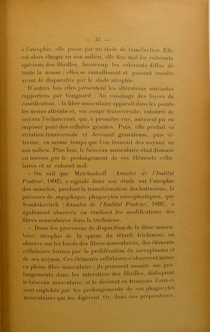à l'atrophie, elle passe par un stade de tuméfaction. Elle est alors élargie en son milieu, elle tixe mal les colorants spéciaux des fibrilles, beaucoup les colorants diffus de toute la masse; elles se ramollissent et passent ensuite avant de disparaître par le stade atrophie. D’autres fois elles présentent les altérations suivantes rapportées par Guignard : Au voisinage des foyers de caséitication, « la fibre musculaire apparaît dans les points les moins atteints et, surcoupe transversale, entourée de noyaux l’échancrant, qui, à première vue, auraient pu en imposer pour des cellules géantes. Puis, elle perdait sa striation transversale et devenait granuleuse, puis vi- treuse, en même temps que l’on trouvait des noyaux en son milieu. Plus loin, le faisceau musculaire était dissocié en travers par le prolongement de ces éléments cellu- laires et se colorait mal. » On sait que MetchnikolT [Annales de Vltistilul Pasieur, 1892), a signalé dans son étude sur l’atrophie des muscles, pendant la transformation des batraciens, la présence de myophages, phagocytes sarcoplastiques, que Soudakevitch [Annales de l'Inslilul Pasieur, 1892), a également observés en étudiant les modifications des fibres musculaires dans la trichinose. » Dans les processus de disparition de la fibre muscu- laire, atrophie de la queue du têtard, trichinose, on observe sur les bords des fibres musculaires, des éléments cellulaires fôrméspar la prolifération du sarcoplasma et de ses noyaux. Ces éléments cellulaires s’observent même en pleine fibre musculaire ; ils poussent ensuite ses pro- longements dans les interstices des fibrilles, disloquent le faisceau musculaire, et le divisent en tronçons. Ceux-ci sont englobés par les prolongements de ces phagoc\ les musculaires qui les digèrent. Dr, dans nos prrpai al ions,