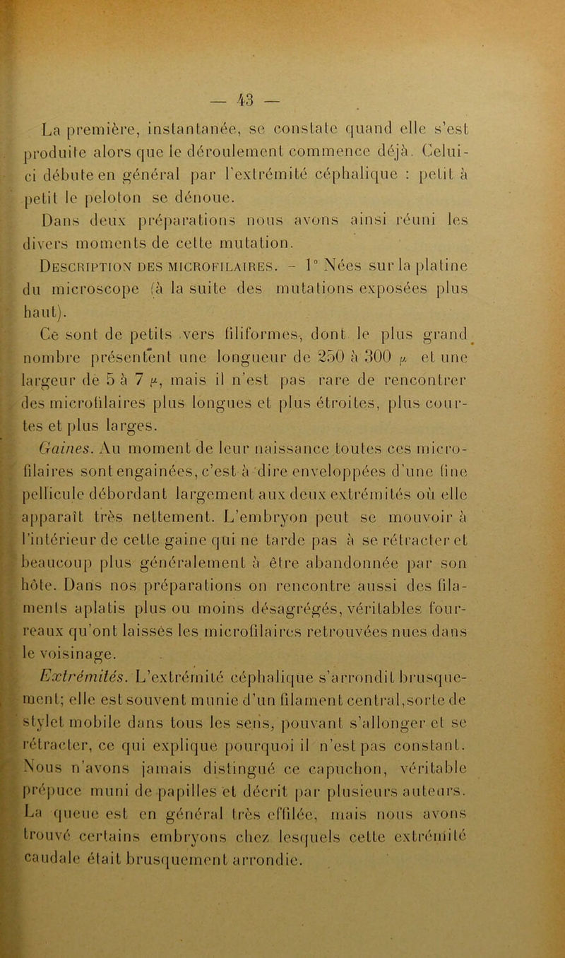 La première, instantanée, se constate quand elle s’est produite alors que le déroulement commence déjà. Celui- ci débute en général par l’extrémité céphalique : petit à petit le peloton se dénoue. Dans deux préparations nous avons ainsi réuni les divers moments de celte mutation. Description des microfilaires. - 1° Nées sur la platine du microscope (à la suite des mutations exposées plus haut). Ce sont de petits vers filiformes-, dont le plus grand nombre présentent une longueur de 250 à 300 y. et une largeur de 5 à 7 /*, mais il n’est pas rare de rencontrer des microülaires plus longues et plus étroites, plus cour- tes et plus larges. Gaines. Au moment de leur naissance toutes ces micro- filaires sont engainées, c’est à dire enveloppées d’une line pellicule débordant largement aux deux extrémités où elle apparaît très nettement. L’embryon peut se mouvoir à l’intérieur de cette gaine qui ne tarde pas à se rétracter et beaucoup plus généralement à être abandonnée par son hôte. Dans nos préparations on rencontre aussi des fila- ments aplatis plus ou moins désagrégés, véritables four- reaux qu’ont laissés les microfilaires retrouvées nues dans le voisinage. Extrémités. L’extrémité céphalique s’arrondit brusque- ment; elle est souvent munie d’un filament central,sorte de stylet mobile dans tous les sens, pouvant s’allonger et se rétracter, ce qui explique pourquoi il n’est pas constant. Nous n’avons jamais distingué ce capuchon, véritable prépuce muni de papilles et décrit par plusieurs auteurs. La queue est en général très effilée, mais nous avons trouvé certains embryons chez lesquels cette extrémité caudale était brusquement arrondie.
