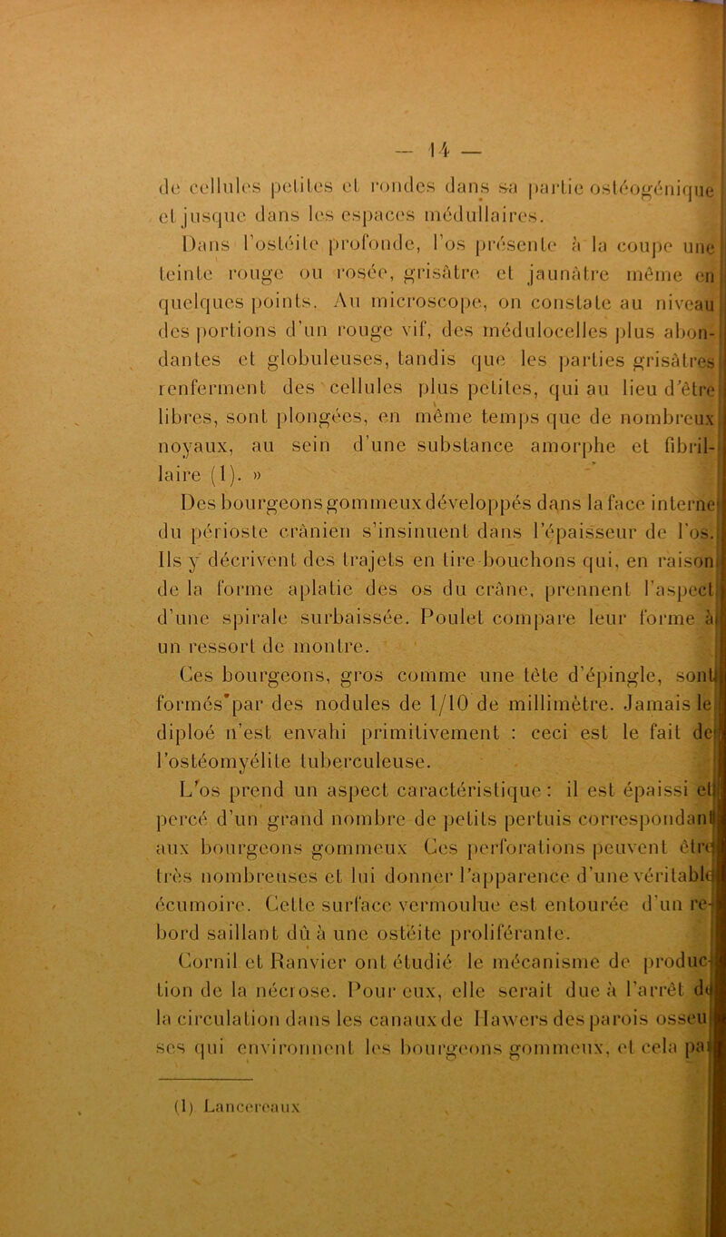 de cellules petites et rondes dans sa partie ostéogénique et jusque dans les espaces médullaires. Dans l’ostéite profonde, l’os présente à la coupe une teinte rouge ou rosée, grisâtre et jaunâtre môme en quelques points. Au microscope, on constate au niveau des portions d’un rouge vif, des médulocelles plus abon- dantes et globuleuses, tandis que les parties grisâtres renferment des cellules plus petites, qui au lieu d'être libres, sont plongées, en même temps que de nombreux noyaux, au sein d’une substance amorphe et fibril- laire (1). » Des bourgeons gommeux développés dans la face interne du périoste crânien s’insinuent dans l’épaisseur de l’os. Ils y décrivent des trajets en tire bouchons qui, en raison de la forme aplatie des os du crâne, prennent l’aspect d’une spirale surbaissée. Poulet compare leur forme ài un ressort de montre. Ces bourgeons, gros comme une tète d’épingle, sonU formés*par des nodules de 1/10 de millimètre. Jamais le diploé n’est envahi primitivement : ceci est le fait de l’o s t é o m y é 1 i t e t u b e r c u 1 e u s e. L’os prend un aspect caractéristique : il est épaissi et percé d’un grand nombre de petits pertuis correspondant aux bourgeons gommeux Ces perforations peuvent être très nombreuses et lui donner l’apparence d’une véritabl écumoire. Cette surface vermoulue est entourée d’un re bord saillant dû à une ostéite proliférante. Cornil et Ranvier ont étudié le mécanisme de produc tion de la nécrose. Pour eux, elle serait due à l’arrêt d la circulation dans les canaux de Ilawcrs des parois osseu ses qui environnent les bourgeons gommeux, et cela pa (1) Lancereaux