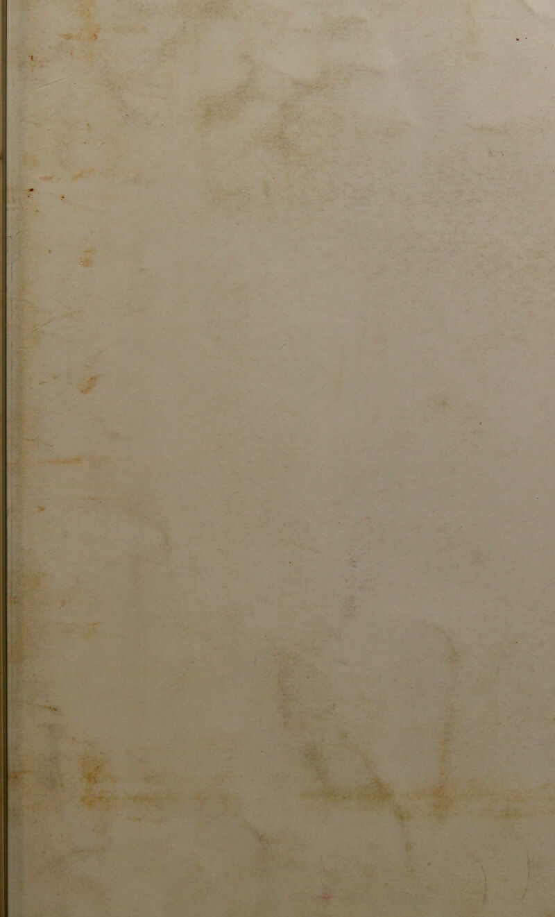^ ... ■ ' r* ;•' % i' - ...^- ,, --4 w. ^<r _, ' ., '.V • ■ , -i-y^ . . ^ -î. ;»sit.v^-.. *iT' ivi. •■' \ I# J » : ■ t'.''- .. i* - -X’ '■■ - k - ; • J ' y^. ' ' \ .^si R1. ^ ' y-»*{ t^'^- y* - -±'i^y ' -%■ . nàfca<j^-*^ - - . vv^îa*->* ,w=r<;«’';■•: - •-.i ' ' . . - - v^■ ^ * *>.♦.» iii. v’. * < V ■f <■■' / *.w 'Si • ' V-* ‘*- r • » -' -. ,ïpw: '. VJLVSf. ' r ^ T' tS'i, _ -> kîHét^ %. ' ' V^’ -â.-' ' T- ~ ' -^• / '- • * '■• “' 4 -À ■' . iÿj; , ir. j'.-^^^'u ^ ;:.: T,. . W 'r ' .,• '•■ ■ :T:;y, ■ ■- vr W tk i'- '■ ’ *'- ' . . -jt ,. «”'■^1'• -, - # >-,. r-:. > •■,. ‘ îi^. l ,', .ft-, S^“t^: f* . y ^ '-V=^.' ■ *•* iM. ■ t  rjii i. . , *>♦,' ■ 4 ' <,^urt*r «KT ■ > àfi \ ITrxv* < itf. '• ^ • ’ . ; ,1^:^ r *>' 'Ij .,->'^/*.-4.'i-‘V ■ ’-, *^4