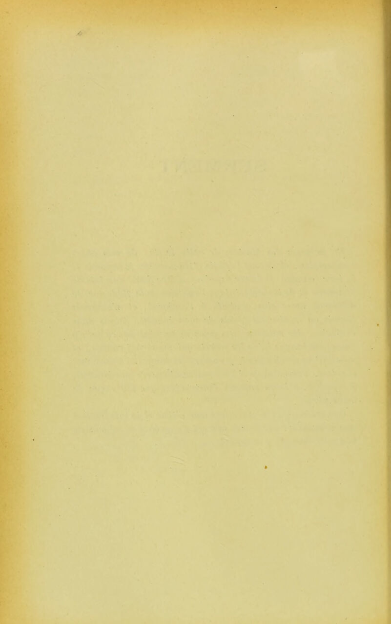 y T I (» ». ' ■ ^ ,i I • * \ ê \ '-* *vt - - . a. • A .