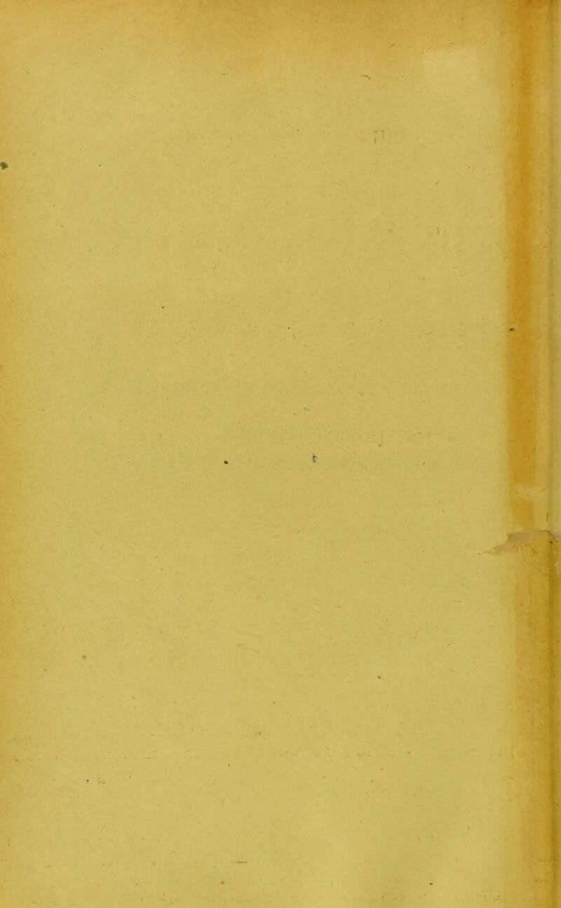 'T'.- .. 4 r-; à' 3l * / *. *■ « ■ .r > - I t ■% •. J •W a •*