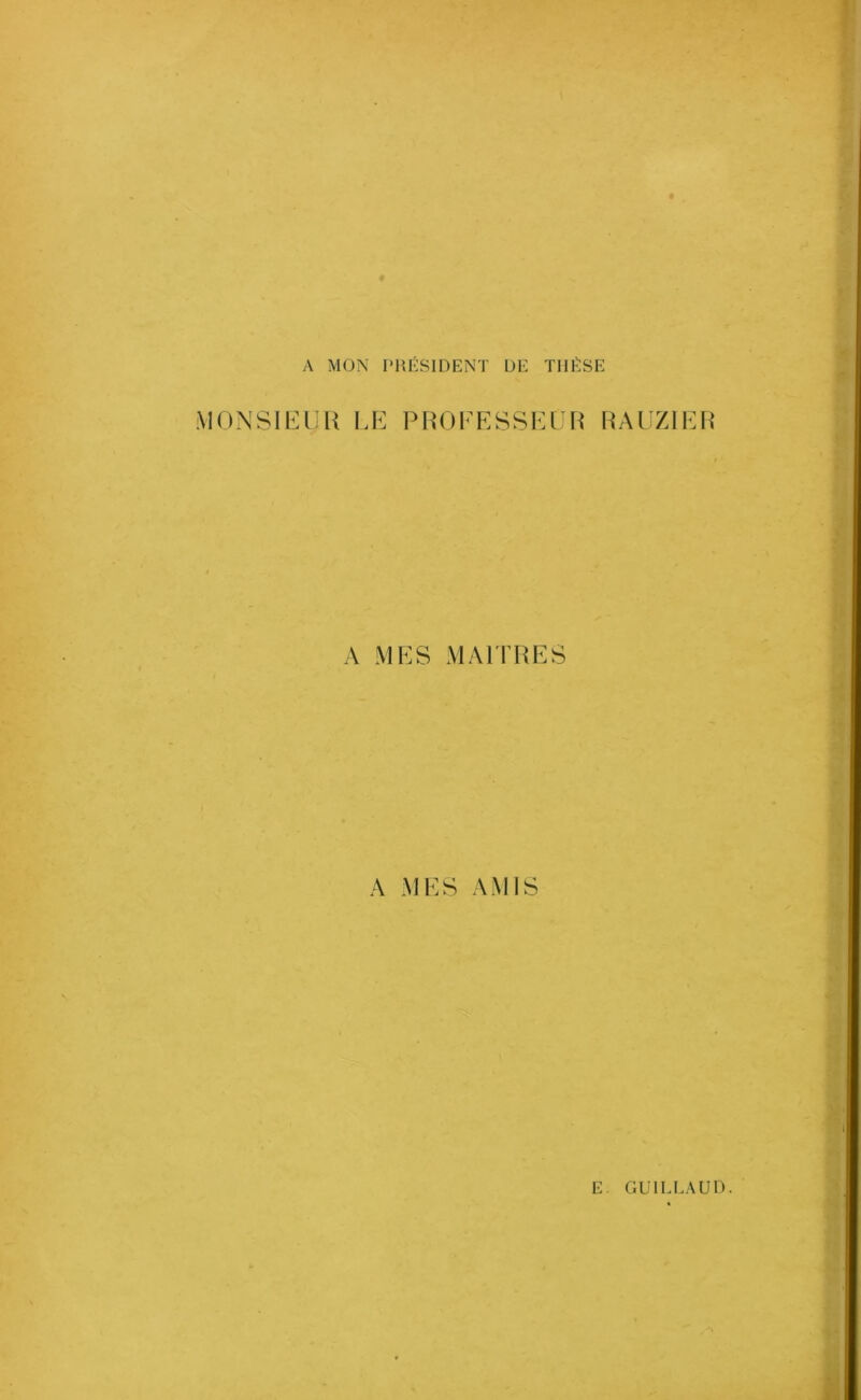 A MON PRÉSIDENT DE THÈSE MONSIEUR LE PROFESSEUR RAUZIER A MES MAITRES A MES AMIS