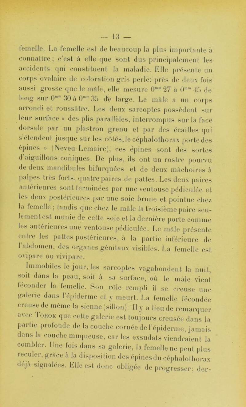femelle. La femelle est de beaucoup la plus importante à connaître; c’est à elle que sont dus principalement les accidents qui constituent la maladie. Elle présente un corps ovalaire de coloration gris perle; près de deux fois aussi grosse que le mâle, elle mesure 0ram27 à 0mm 15 de long sur 0” 301\ 0n,m 35 (te large. Le mâle a un corps arrondi et roussâtre. Les deux sarcoptes possèdent sur leur surlace « des plis parallèles, interrompus sur la face dorsale par un plastron grenu et par des écailles qui s elendent jusque sur les côtés, le céphalothorax porte des épines » (Neveu-Lemaire), ces épines sont des sortes d’aiguillons coniques. De plus, ils ont un rostre pourvu de deux mandibules biturquées et de deux mâchoires à palpes très forts, quatre paires de pattes. Les deux paires antérieures sont terminées par une ventouse pédiculée et les deux postérieures par une soie brune et pointue chez la femelle ; tandis que chez le mâle la troisième paire seu- lementest munie de cette soie et la dernière porte comme les antérieures une ventouse pédiculée. Le mâle présente entre les pattes postérieures, à la partie inférieure de l’abdomen, des organes génitaux visibles. La femelle est ovipare ou vivipare. Immobiles le jour, les sarcoptes vagabondent la nuit, soit dans la peau, soit ii sa surface, où le mâle vient féconder la femelle. Son rôle rempli, il se creuse une galerie dans lepiderme et y meurt. La femelle fécondée creuse de même la sienne (sillon). Il y a lieu de remarquer avec IOIIOK que celte galerie est toujours creusée dans la partie profonde de la couche cornée de l'épiderme, jamais dans la couche muqueuse, car les exsudais viendraient la combler. Une fois dans sa galerie, la femelle ne peut plus reculer, grâce a la disposition des épines du céphalothorax déji\ signalées. Mlle est donc obligée de progresser; der-