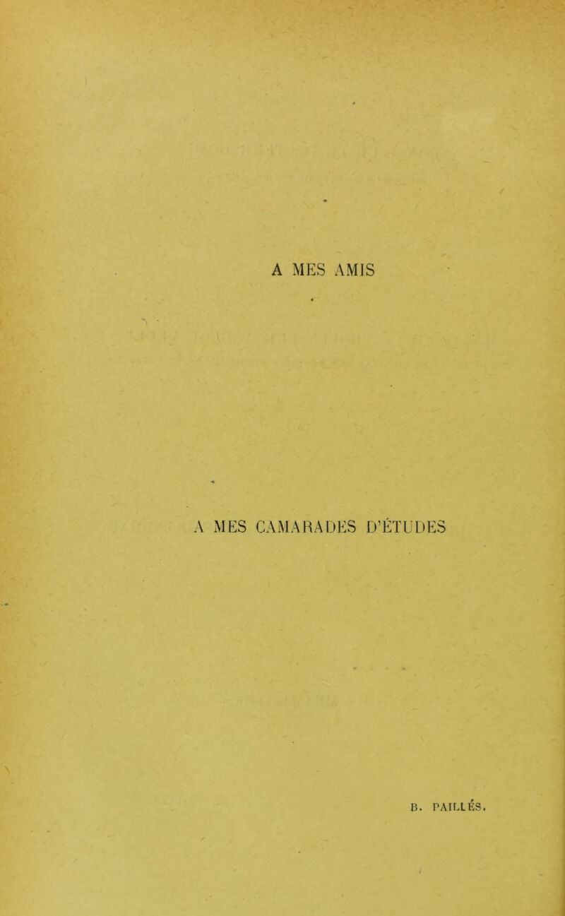 A MES AMIS A MES CAMARADES D’ÉTUDES