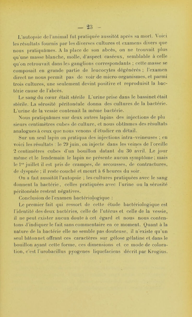 L’autopsie de l’animal fut pratiquée aussitôt après sa mort. \ oici les résultats fournis par les diverses cultures et examens divers que nous pratiquâmes. A la place de son abcès, on ne trouvait plus qu’une masse blanche, molle, d’aspect caséeux, semblable à celle qu’on retrouvait dans les ganglions correspondants ; celte masse se composait en grande partie de leucocytes dégénérés ; l’examen direct ne nous permit pas de voir de micro-organismes, et parmi trois cultures, une seulement devint positive et reproduisit la bac- térie cause de l’abcès. Le sang du cœur était stérile L'urine prise dans le bassinet était stérile. La sérosité péritonéale donna des cultures de la bactérie. L'urine de la vessie contenait la même bactérie. Nous pratiquâmes sur deux autres lapins des injections de plu sieurs centimètres cubes de culture, et nous obtînmes des résultats analogues;'» ceux que nous venons d’étudier en détail. Sur un seul lapin on pratiqua des injections intra-veineuses ; en voici les résultats : le 29 juin, on injecte dans les veines de l'oreille 2 centimètres cubes d’un bouillon datant du 30 avril. Le jour même et le lendemain le lapin ne présente aucun symptôme; mais le 1er juillet il est pris de crampes, de secousses, de contractures, de dyspnée ; il reste couché et meurt à 6 heures du soir. On a fait aussitôt l’autopsie ; les cultures pratiquées avec le sang donnent la bactérie, celles pratiquées avec l'urine ou la sérosité péritonéale restent négatives. Conclusion de l’examen bactériologique : Le premier fait qui ressort de celte étude bactériologique est l’identité des deux bactéries, celle de l’utérus et celle de la vessie, il ne peut exister aucun doute â cet égard et nous nous conten- tons d’indiquer le fait sans commentaire en ce moment. Quant à la nature de la bactérie elle ne semble pas douteuse, il n'existe qu’un seul bâtonnet offrant ces caractères sur gélose gélatine et dans le bouillon ayant cette forme, ces dimensions et ce mode de colora- tion, c'est l urobacillus pyogènes liquefaciens décrit par Krogius.