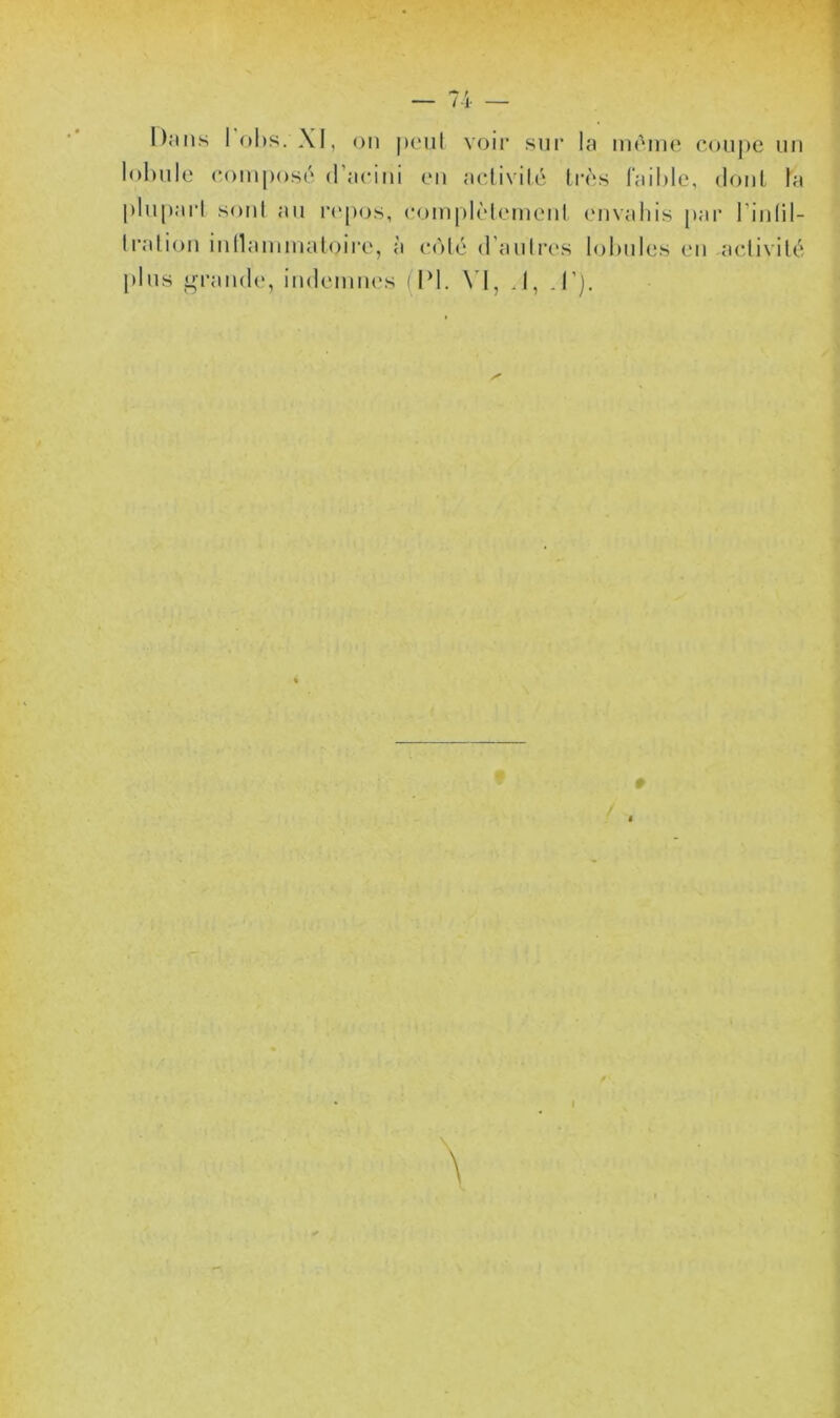 — 7-i. — Dans lohs. Xi, on |)enl voir sni’ la im'^nio conj)e nn lohnie (-oinposo (racini cm aclivilé très faihlc, donl la plnparl soni an rc'pos, coinplc'lemenl (Mivaliis par l’iniil- Iralion inllaininatoirc^, à c(')lc d’aiilrcvs lohnles lmi aclivilc^- pins i^randc', indcnniu's DM. \'l, J, J'). t \