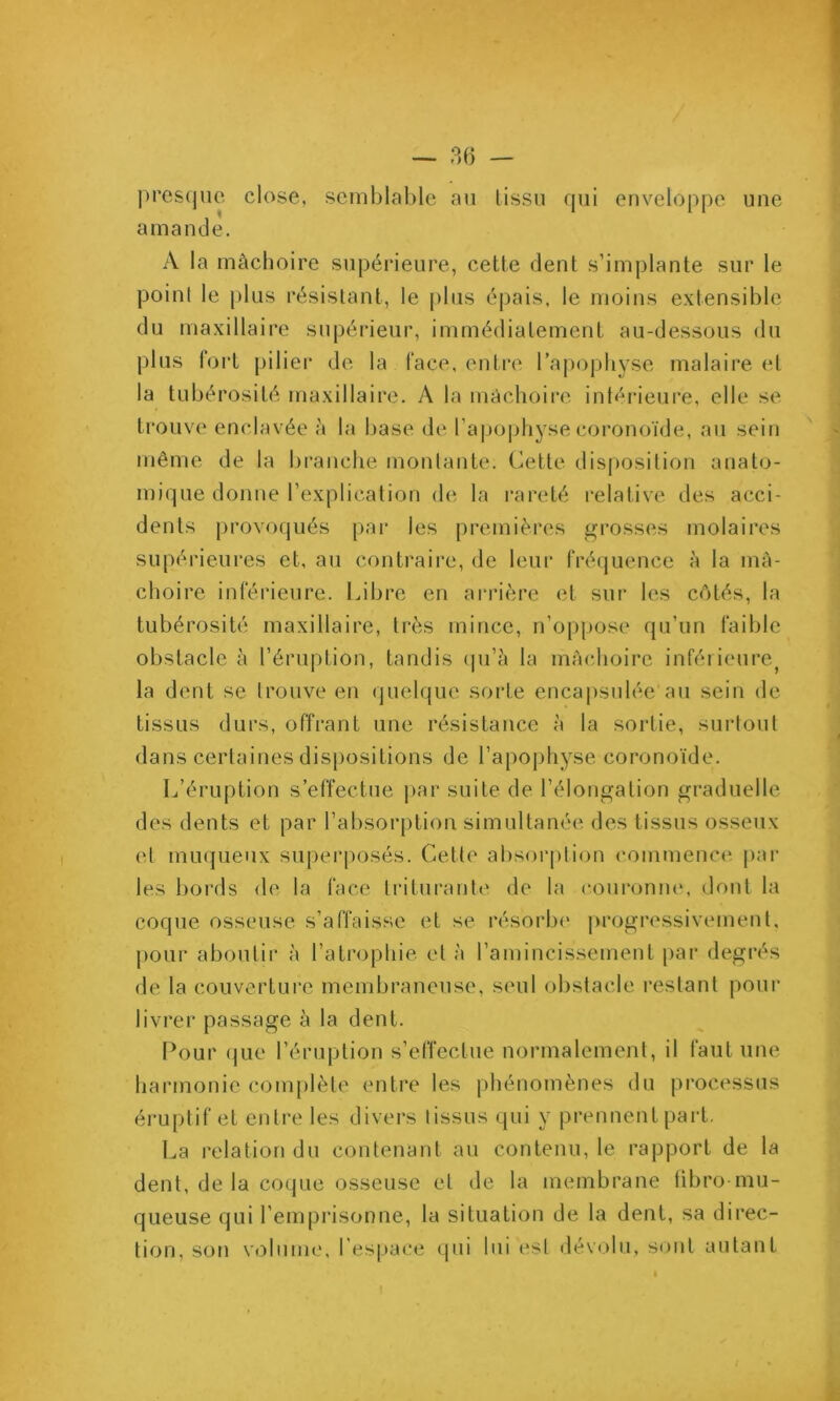 une presque close, semblable au lissu qui enveloppe amande. A la mâchoire supérieure, cette dent s’implante sur le point le plus résistant, le plus épais, le moins extensible du maxillaire supérieur, immédiatement au-dessous du plus foi't pilier de la face, entre l’apophyse malaire et la tubérosité maxillaire. A la màclioire intérieure, elle se trouve enclavée la base de rapO|>hyse coronoïde, au sein même de la branche jnonlante. Cette disposition anato- mique donne l’explication de la rareté relativ'e des acci- dents provoqués [>ar les premières grosses molaires supérieures et, au contraire, de leur fré(juence à la mâ- choire inférieure. Libre en ai'rière et sui* les côtés, la tubérosité maxillaire, très mince, n’oppose qu’un faible obstacle à l’éruption, tandis (pi’à la màclioire inférieure^ la dent se trouve en quelque sorte encapsulée au sein de tissus durs, offrant une résistance à la sortie, surtout dans certaines dispositions de l’apophyse coronoïde. L’éruption s’effectue jiar suite de l’élongation graduelle des dents et par l’absorption simultanée des tissus osseux et muqueux superposés. Cette absoi-plion commence par les bords de la face triturante de la couronne, dont la coque osseuse s’affaisse et se résorbe' progressivement, pour aboutir à l’atropliie et à l’amincissement par degrés de la couverture membraneuse, seul obstacle restant pour livrer passage à la dent. Pour (jue l’éruption s’effectue normalement, il faut une harmonie complète entre les phénomènes du pi’ocessus éruptif et entre les divers tissus qui y prennent part. La relation du contenant au contenu, le rapport de la dent, de la coque osseuse et de la membrane übro mu- queuse qui l’emprisonne, la situation de la dent, sa direc- tion, son volume, l’espace qui lui esl dév<)lu, sont autant