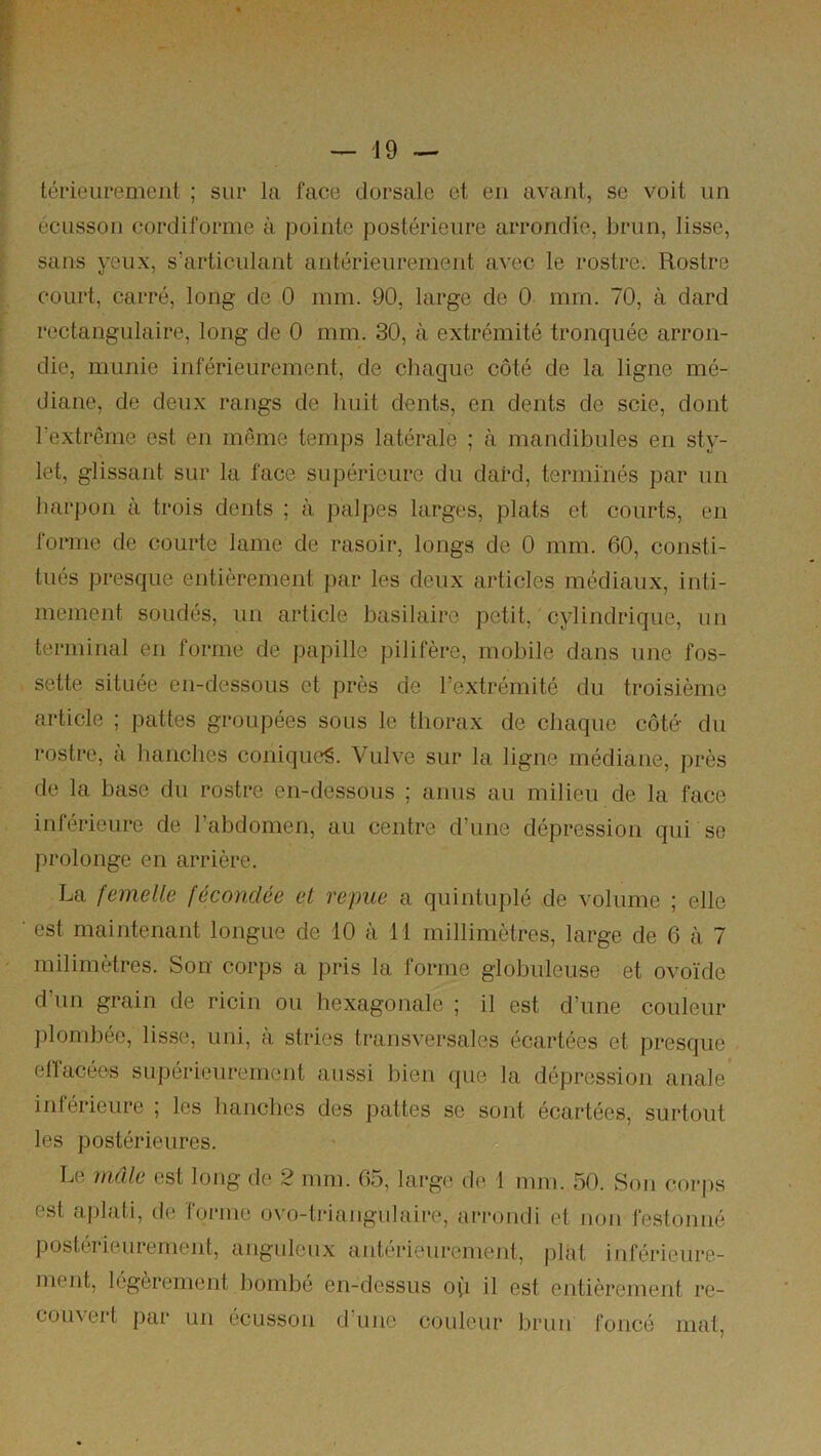 térieiiremeiit ; sur la face dorsale et en avant, se voit un écusson cordiforme à pointe postérieure arrondie, brun, lisse, sans yeux, s’articulant antérieurement avec le rostre. Rostre court, carré, long de 0 mm. 90, large de 0 mm. 70, à dard rectangulaire, long de 0 mm. 30, à extrémité tronquée arron- die, munie inférieurement, de chaque côté de la ligne mé- diane, de deux rangs de huit dents, en dents de scie, dont l’extrême est en même temps latérale ; à mandibules en sty- let, glissant sur la face supérieure du dard, terminés par un harpon à trois dents ; à palpes larges, plats et courts, en forme de courte lame de rasoir, longs de 0 mm. 60, consti- tués presque entièrement par les deux articles médiaux, inti- mement soudés, un article basilaire petit, cylindrique, un terminal en forme de papille pilifère, mobile dans une fos- sette située en-dessous et près de l’extrémité du troisième article ; pattes groupées sous le thorax de chaque côté du rostre, a hanches conique^. Vulve sur la ligne médiane, près de la base du rostre en-dessous ; anus au milieu de la face inférieure de l’abdomen, au centre d’une dépression qui se prolonge en arrière. La femelle fécondée et repue a quintuplé de volume ; elle est maintenant longue de 10 à 11 millimètres, large de 6 à 7 milimètres. Son corps a pris la forme globuleuse et ovoïde d’un grain de ricin ou hexagonale ; il est d’une couleur jjlombée, lisse, uni, à stries transversales écartées et presque elïacéos supérieurement aussi bien que la dépression anale inférieure ; les lianches des pattes se sont écartées, surtout les postérieures. o Le mâle est long de 2 mm. 65, largo do 1 mm. 50. Son corps est aj)lati, de forme ovo-triangulairo, arrondi et non festonné postérieurement, anguleux antei'ieurement, ])làt inférieure- ment, légèrement bombé en-dessus o(i il est entièrement re- couvert par un écusson d'une couleur brun foncé mat,