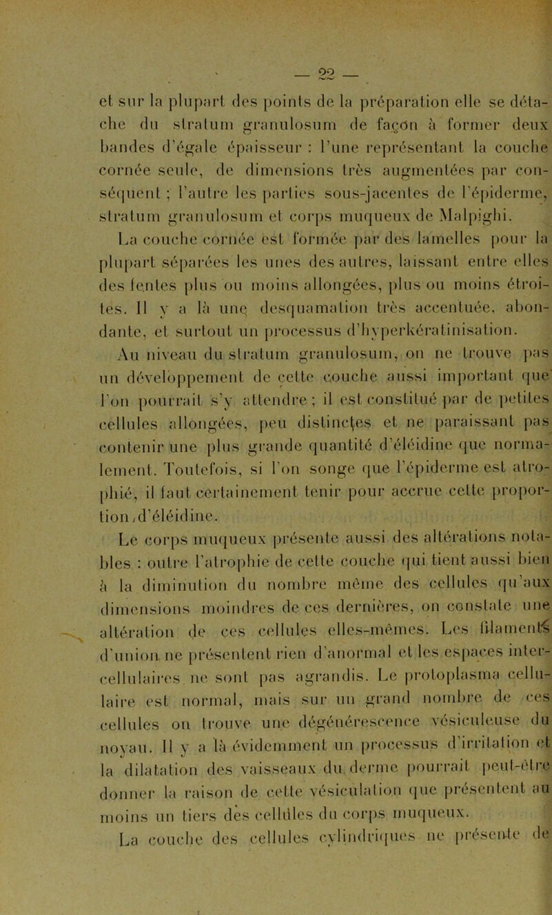 et sur la plupart des points de la préparation elle se déta- che du stralum granulosum de façon à former deux bandes d’égale épaisseur : l’iine représentant la couche cornée seule, de dimensions très augmentées par con- séMjuent ; l’autre les parties sous-jacentes de l’épiderme, stratum gi’anulosum et corps muqueux de Malpiglii. La couche cornée est formée par des lamelles pour la [)lupart séparées les unes des autres, laissant entre elles des tentes |)lus ou moins allongées, pinson moins étroi- tes. Il y a là une desquamation très accentuée, ahon- dante, et surtout un pi’ocessus d’hyperUéi-atinisation. Au niveau du sti'atum granulosum, ou ne trouve j>as un développement de cette couche aussi important que' l'on pourrait s'y attendre; il est constitué par de petites cellules allongées, i)eu distinctes et ne paraissant pas contenir une plus grande quantité d’éléidine que norma- lement. Toutefois, si l’on songe (|ue l’épiderme est atro- phié, il faut ceidainement tenir pour accrue cette [)ro[)or- tion jd’éléidine. Le corps muqueux présente aussi des altérations nota- bles : outi'e l’atrophie de cette couche qui tient aussi bien à la diminution du nond)i‘e même des cellules qu aux dimensions moindres de ces dernières, on constate une altération de ces cellules elles-mêmes. Les lUament^ d’union, ne présentent rien d’anoi'mal et les espaces intei- cellulaires ne sont pas agi’andis. Le protoplasma cellu- laire est normal, mais sur un grand nondu'e de ces cellules on ti’ouve une dégénéi’escence vésicule.use du novaii. 11 V a là évidemment un processus d’irritation (?t la dilatation des vaisseaux du.dej-me pourrait peut-être donner la raison de cette vésiculation (jiie présentent au moins un tiers des celliiles du corps muqueux. La couche des cellules cylindricpies ne i)résen.te de
