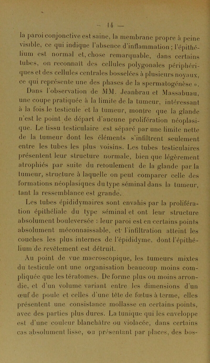 la paroi conjonclive est saine, la membrane propre à peine visible, ce qui indique l’absence d’intlammation ; répilh(‘- lium est normal et, chose l’emarquable, dans certains tubes, on reconnaît des cellules polygonales péripliéri- (jues et des cellules centrales bosselées à plusieurs noyaux, ce qui représente une des phases de la spermatogénèse ». Dans 1 observation de xMM. Jeanbrau et Massabuau, une coupe piatnjuee a la limite de la tumeur, intéressant a la fois le testicule et la tumeur, montre que la glande n’est le point de départ d’aucune prolifération néoplasi- que. Le tissu testiculaire est sé[)aré par une limite nette de la tumeur dont les éléments s’infiltrent seulement entre les tubes les plus voisins. Les tubes testiculaires {irésentent leur structure normale, bien que légèrement atrophiés par suite du retoulement de la glande parla tumeur, structure à laquelle on peut comparer celle des formations néoplasiques du type séminal dans la tumeur, tant la ressemblance est grande. Les tubes épididymaires sont envahis par la proliféra- tion épithéliale du type séminal et ont leur structure absolument bouleversée : leur paroi est en certains points absolument méconnaissable, et- l’infiltration atteint les couches les plus internes de l’épididyme, dont l’épithé- lium de revêtement est détruit. Au point de vue macroscopique, les tumeurs mixtes du testicule ont une organisation beaucoup moins com- pliquée que les tératomes. De forme plus ou moins arron- die, et d’un volume variant entre les dimensions d’un œuf de poule et celles d’une tête de fœtus à terme, elles jirésentent une consistance mollasse en certains points, avec des parties plus dures. La tunique qui les enveloppe est d’une couleur blanchàlre ou violacée, dans certains cas absolument lisse, ou jirésentant par places, des bos-