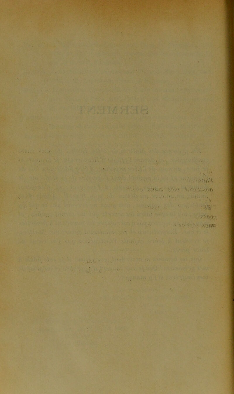 . w • - •'iV'iY î «tiVl *.-)* V'V-4*. ’ s ' • '■ ■ v* ■ • v V ur - . v- , ’*■ (