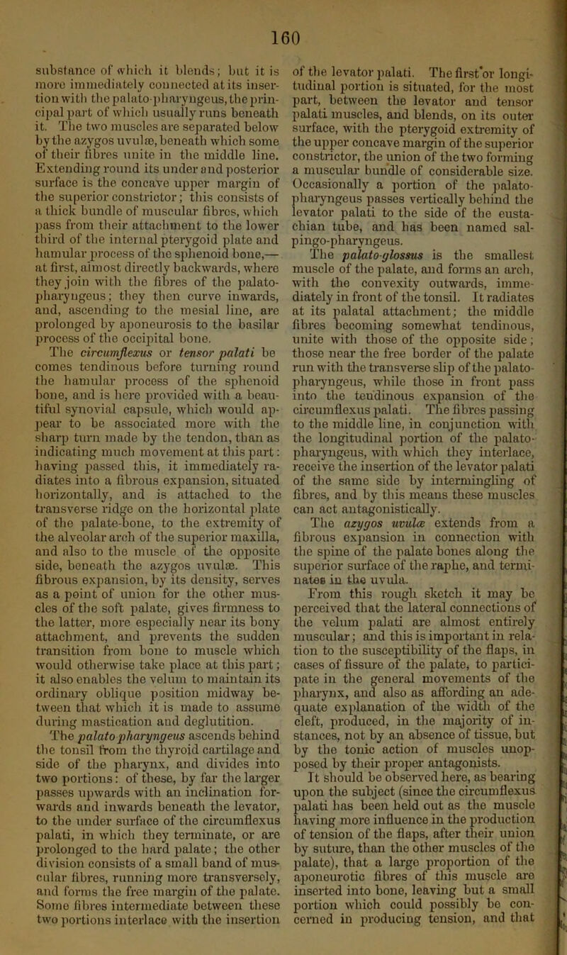 substance of which it blends; but it is more immediately connected at its inser- tion with thepalato-2'haryngeus,the j^rin- cii)ali)art of which usually runs beneath it. The two muscles are separated below by the azygos uvulfe, beneath which some of their fibres unite in the middle line. E.\:tending round its under and posterior surface is the concave upper margin of the superior constrictor; this consists of a thick bundle of muscular fibres, which ])ass from their attachment to the lower third of the internal pterygoid plate and hamular 2>rocess of the sphenoid bone,— at first, almost directly backwards, where they join with the fibres of the palato- pharyugeus; they then curve inwai'ds, and, ascending to the mesial line, are prolonged by aponeurosis to the basilar process of the occijiital bone. The circimflexus or tensor palati be comes tendinous before turning round fbe hamular process of the sjrhenoid bone, and is here jn-ovided with a beau- tiful synovial capsule, which would ap- pear to be associated more with the sharp turn made by the tendon, than as indicating much movement at this part; having ]iassed this, it immediately ra- diates into a fibrous expansion, situated horizontally, and is attached to the transverse ridge on the horizontal jilate of the ])alate-bone, to the extremity of t he alveolar arch of the superior maxilla, and also to the muscle of the ofiposite side, beneath the azygos uvulae. This fibi’ous expansion, by its density, serves as a point of union for the other mus- cles of the soft palate, gives firmness to the latter, more especially near its bony attachment, and jjrevents the sudden transition from bone to muscle which would otherwise take place at this part; it also enables the velum to maintain its ordinary oblique position midway be- tween that which it is made to assume during mastication and deglutition. The palato pharyngeus ascends behind the tonsil from the thyroid cartilage and side of the pharynx, and divides into two jiortions; of these, by far the larger passes upwards with an inclination for- wards and inwards beneath the levator, to the under surface of the circumflexus palati, in which they terminate, or are prolonged to the hard palate; the other division consists of a small band of mus- cular fibres, running more transversely, and forms the free margin of the jialate. Sojiio fibres intermediate between these two portions interlace with the insertion of the levator palati. The flrst*or longi- tudinal portion is situated, for the most l^art, between the levator and tensor palati muscles, and blends, on its outer- surface, with tlie pterygoid exti-emity of the u^rper concave margin of the superior- constrictor, the union of the two forming a muscular- bundle of considerable size. Occasionally a portion of the palato- ]rharyngeus passes vei-tically behind the levator palati to the side of the eusta- chiair tube, aird has been rramed sal- pingo-pharyngeus. The palatoglossus is the smallest muscle of the palate, and forms air arch, with the convexity outwards, imme- diately in front of the tonsU. It radiates at its palatal attachment; the middle fibres becoming somewhat tendinous, unite with those of the ojrposite side; those near the free border of the jralate run with the transver-se slip of the jralato- pharyngeus, while those hr front pass into the tendinous expansion of the circumflexus jralati. The fibres passing to the nriddle line, in conjunction with the longitudinal portion of the palato- phar-yngeus, with which they interlace, receive the insertion of the levator ^lalati of the same side by intermingling of fibres, and by this means these muscles can act antagonistically. The azygos uvula extends from a fibrous expansion in connection with the spine of the palate bones along the siqierior surface of the raphe, and termi- nates in the uvula. From this rough sketch it may be perceived that the lateral connections of the velum palati are almost entirely muscular; and this is impor-taut in rela- tion to the susceptibihty of the flaps, in cases of fissure of the jralate, to partici- pate in the general movements of the jiharynx, and also as afibrding an ade- quate explanation of the width of the cleft, lu-oduced, in the majority of in- stances, not by an absence of tissue, but by the tonic action of muscles unop- posed by their proper antagonists. It should be observed here, as hearing upon the subject (since the circumflexus j)alati has heen held out as the muscle having more influence in the production of tension of the flaps, after their union by suture, than the other muscles of the palate), that a largo jiroportion of the ai)oneurotic fibres of this muscle are inserted into bone, leavuig but a small portion which could possibly bo con- cerned in producing tension, and that