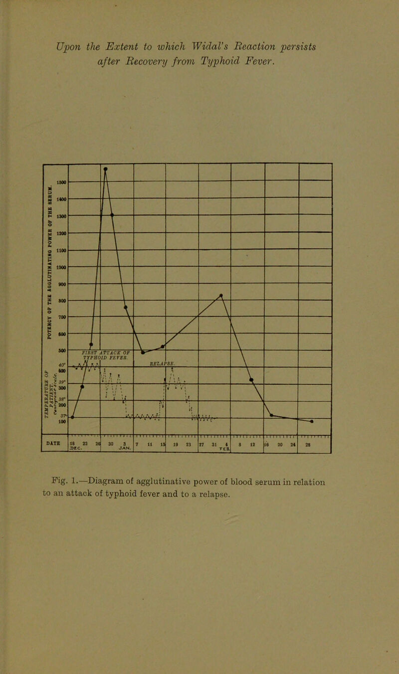 after Recovery from Typhoid Fever. F'g- !•—Diagram of agglutinative power of blood serum in relation to an attack of typhoid fever and to a relapse.