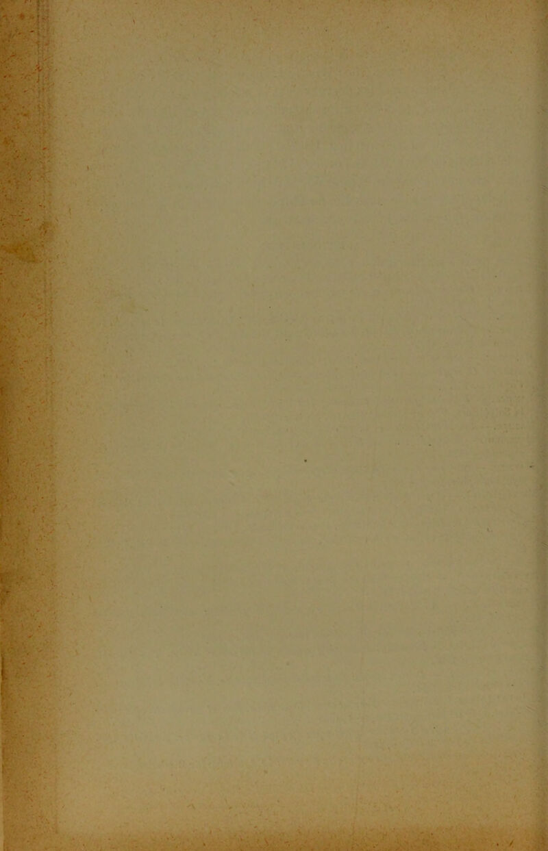 y- - ■ t • « \ •n- '♦ l,‘> V- , 'v . • s Si iî y f; V'r I ii > ✓