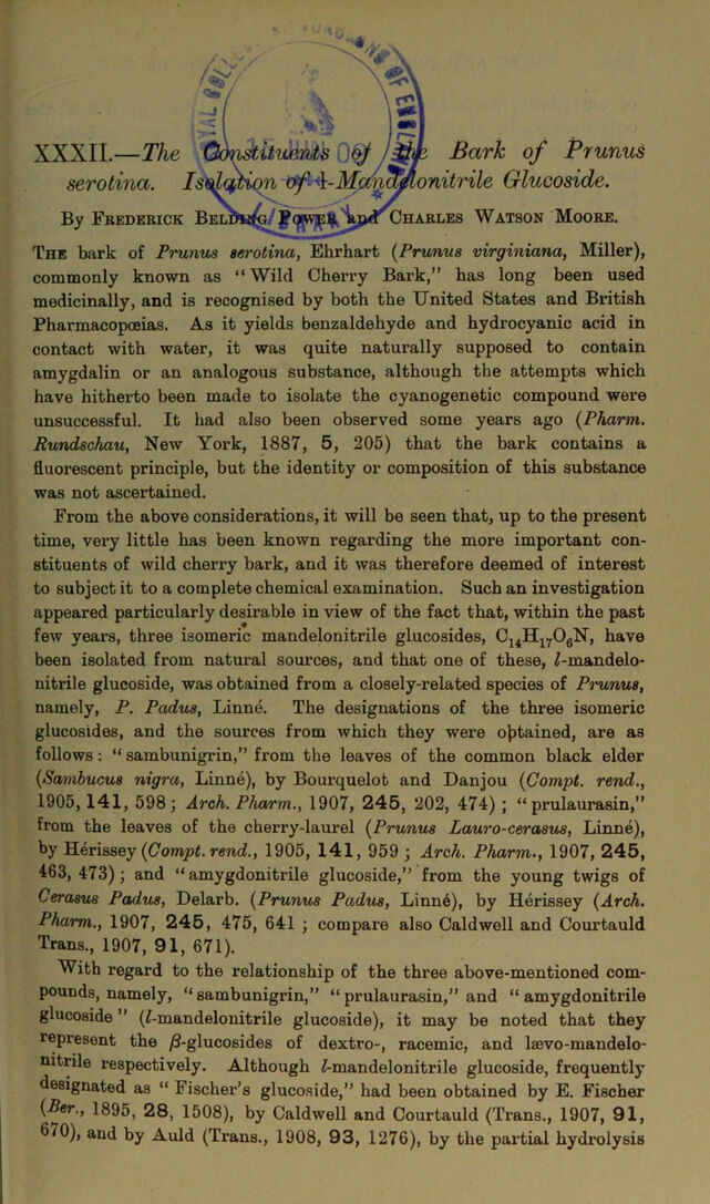 digitised image 3