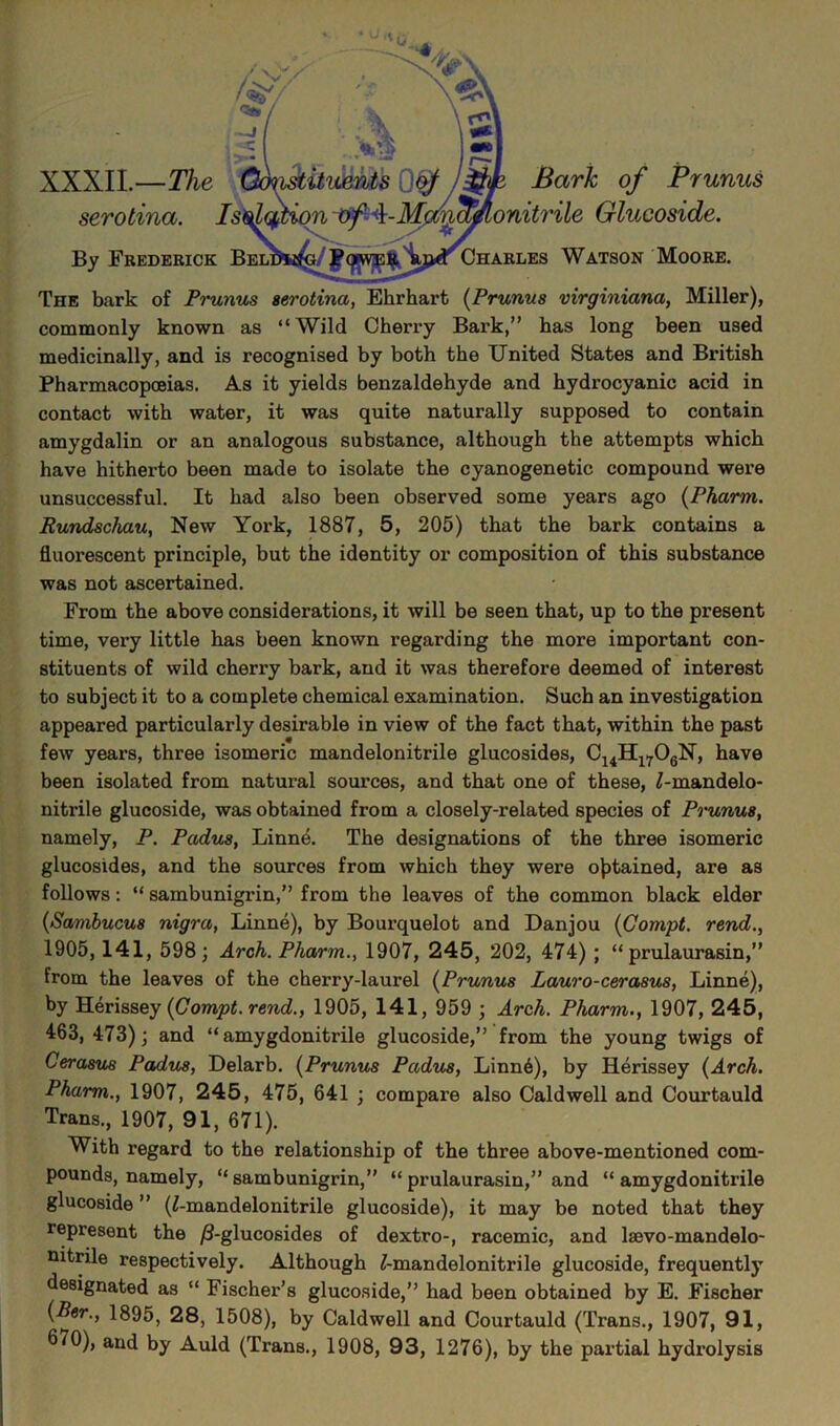 XXXII.—The serotina. Is By Frederick Bel Bark of Prunus 'onitrile Glucoside. Charles Watson Moore. The bark of Prunus serotina, Ehrhart (Prunus virginiana, Miller), commonly known as “Wild Cherry Bark,” has long been used medicinally, and is recognised by both the United States and British Pharmacopoeias. As it yields benzaldehyde and hydrocyanic acid in contact with water, it was quite naturally supposed to contain amygdalin or an analogous substance, although the attempts which have hitherto been made to isolate the cyanogenetic compound were unsuccessful. It had also been observed some years ago (Pharrn. Rundschau, New York, 1887, 5, 205) that the bark contains a fluorescent principle, but the identity or composition of this substance was not ascertained. From the above considerations, it will be seen that, up to the present time, very little has been known regarding the more important con- stituents of wild cherry bark, and it was therefore deemed of interest to subject it to a complete chemical examination. Such an investigation appeared particularly desirable in view of the fact that, within the past few years, three isomeric mandelonitrile glucosides, C14H1706N, have been isolated from natural sources, and that one of these, £-mandelo- nitrile glucoside, was obtained from a closely-related species of Prunus, namely, P. Padus, Linne. The designations of the three isomeric glucosides, and the sources from which they were obtained, are as follows: “ sambunigrin,” from the leaves of the common black elder (Sambucus nigra, Linne), by Bourquelot and Danjou (Compt. rend., 1905, 141, 598; Arch. Pharm., 1907, 245, 202, 474) ; “ prulaurasin,” from the leaves of the cherry-laurel (Prunus Lauro-cerasus, Linne), by Herissey (Compt. rend., 1905, 141, 959 ; Arch. Pharm., 1907, 245, 463,473); and “ amygdonitrile glucoside,” from the young twigs of Cerasus Padus, Delarb. (Prunus Padus, Linnd), by Herissey (Arch. Pharm., 1907, 245, 475, 641 ; compare also Caldwell and Courtauld Trans., 1907, 91, 671). With regard to the relationship of the three above-mentioned com- pounds, namely, “sambunigrin,” “ prulaurasin,” and “amygdonitrile glucoside ” (^-mandelonitrile glucoside), it may be noted that they represent the ^-glucosides of dextro-, racemic, and lsevo-mandelo- nitrile respectively. Although 7-mandelonitrile glucoside, frequently designated as “ Fischer’s glucoside,” had been obtained by E. Fischer (Per., 1895, 28, 1508), by Caldwell and Courtauld (Trans., 1907, 91, 670), and by Auld (Trans., 1908, 93, 1276), by the partial hydrolysis