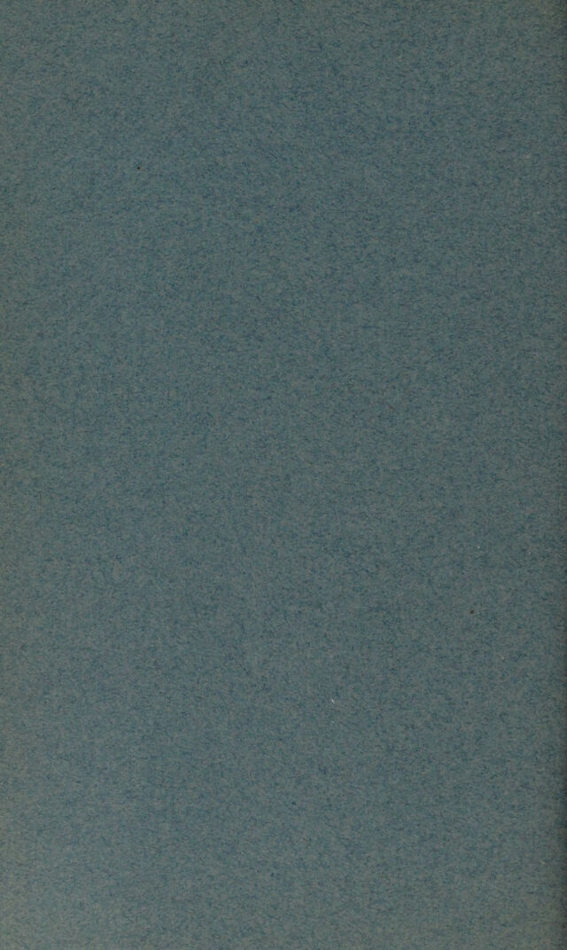 digitised image 2