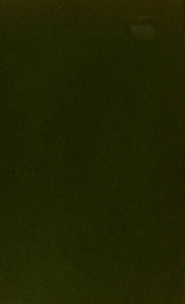 digitised image 2