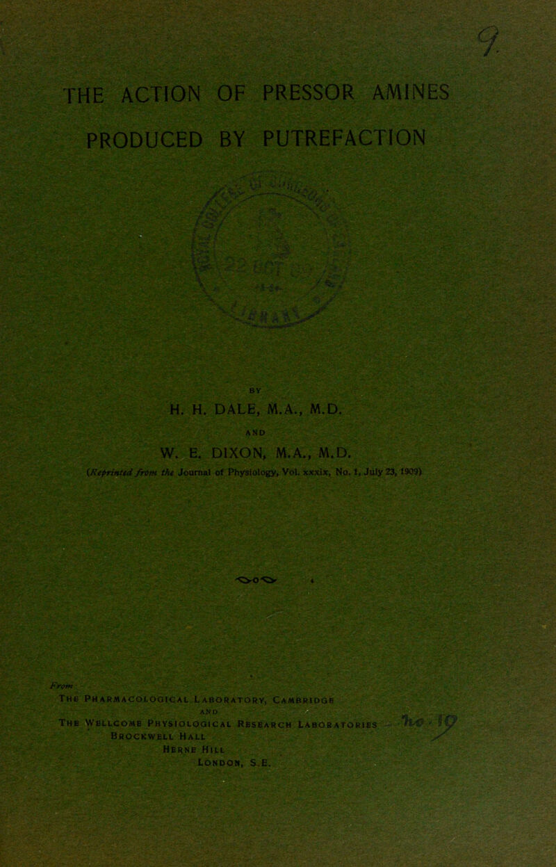 THE ACTION OF PRESSOR AMINES PRODUCED BY PUTREFACTION (Reprinttd from, the Journal of Physiology, Vol. xxxix, No. 1, July 23, 1909) From The Pharmacological Laboratory, Cambridge AND The Wellcome Physiological Research Laboratories Brockwell Hall Herne Hill London, S.E. J i BY H. H. DALE, M.A., M.D AND W. E. DIXON, M.A., M.D '•'OO'O jCAfi 5*