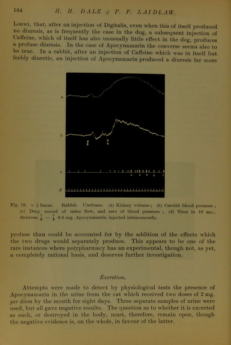 Loewi, that, after an injection of Digitalis, even when this of itself produced no diuresis, as is frequently the case in the dog, a subsequent injection of Caffeine, which of itself has also unusually little effect in the dog, produces a profuse diuresis. In the case of Apocynamarin the converse seems also to be true. In a rabbit, after an injection of Caffeine which was in itself but feebly diuretic, an injection of Apocynamarin produced a diuresis far more Fig. 19. X f linear. Rabbit. Urethane, (a) Kidney volume ; (b) Carotid blood pressure ; (c) Drop record of urine flow, and zero of blood pressure ; (d) Time in 10 sec.. Between j. — | 0-5 mg. Apocynamarin injected intravenously. profuse than could be accounted for by the addition of the effects which the two drugs would separately produce. This appears to be one of the rare instances where polypharmacy has an experimental, though not, as yet, a completely rational basis, and deserves further investigation. Excretion. Attempts were made to detect by physiological tests the presence of Apocynamarin in the urine from the cat which received two doses of 2 mg. per diem by the mouth for eight days. Three separate samples of urine were used, but all gave negative results. The question as to whether it is excreted as such, or destroyed in the body, must, therefore, remain open, though the negative evidence is, on the whole, in favour of the latter.