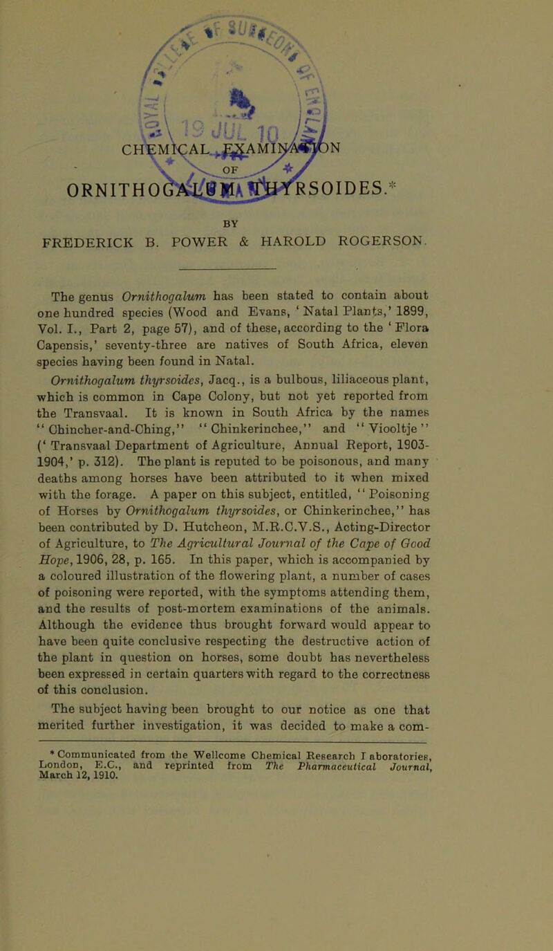 N C ORNITHO RSOIDES.- BY FREDERICK B. POWER & HAROLD ROGERSON. The genus Ornithogalum has been stated to contain about one hundred species (Wood and Evans, ‘ Natal Plants,’ 1899, Vol. I., Part 2, page 57), and of these,according to the ‘Flora Capensis,’ seventy-three are natives of South Africa, eleven species having been found in Natal. Ornithogalum thyrsoidcs, Jacq., is a bulbous, liliaceous plant, which is common in Cape Colony, but not yet reported from the Transvaal. It is known in South Africa by the names “ Chincher-and-Ching,” “ Chinkerinchee,” and “ Viooltje ” (‘ Transvaal Department of Agriculture, Annual Report, 1903- 1904,’ p. 312). The plant is reputed to be poisonous, and many deaths among horses have been attributed to it when mixed with the forage. A paper on this subject, entitled, “ Poisoning of Horses by Ornithogalum thyrsoides, or Chinkerinchee,” has been contributed by D. Hutcheon, M.R.C.V.S., Acting-Director of Agriculture, to The Agricultural Journal of the Cape of Good Hope, 1906, 28, p. 165. In this paper, which is accompanied by a coloured illustration of the flowering plant, a number of cases of poisoning were reported, with the symptoms attending them, and the results of post-mortem examinations of the animals. Although the evidence thus brought forward would appear to have been quite conclusive respecting the destructive action of the plant in question on horses, some doubt has nevertheless been expressed in certain quarters with regard to the correctness of this conclusion. The subject having been brought to our notice as one that merited further investigation, it was decided to make a com- ♦ Communicated from the Wellcome Chemical Research I aboratories, London, E.C., and reprinted from The Pharmaceutical Journal, March 12,1910.