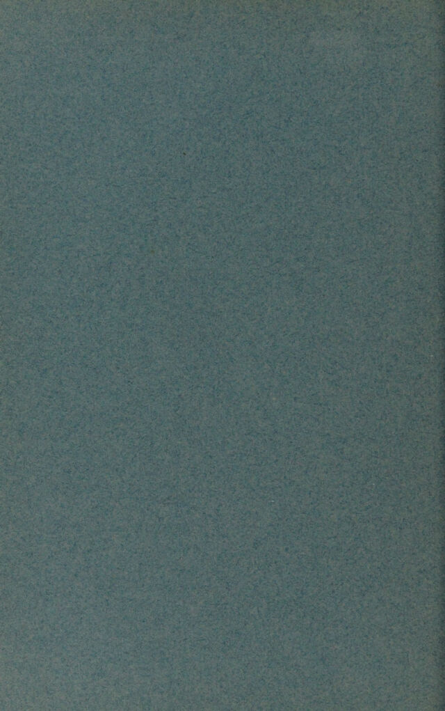 digitised image 2