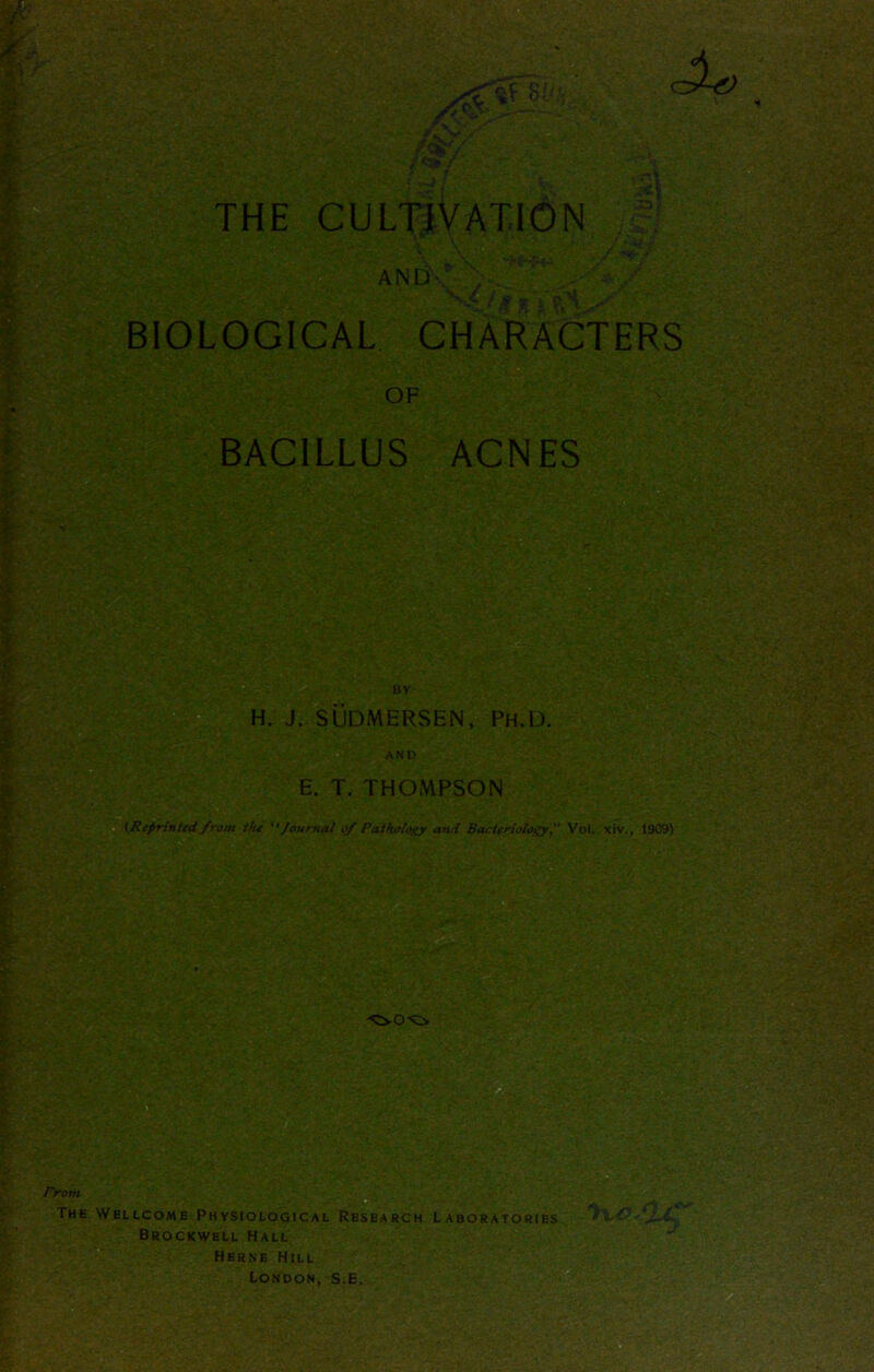 Prom The g ' THE CULTIVATION ' ' *1' i) AM) BIOLOGICAL CHARACTERS OF BACILLUS ACNES BY H. J. SUDMERSEN, Ph.D. AND E. T. THOMPSON [Reprinted from the Journal of Pathology and BacteriologyVol. xiv., 1909) Herne Hill London, S.E.