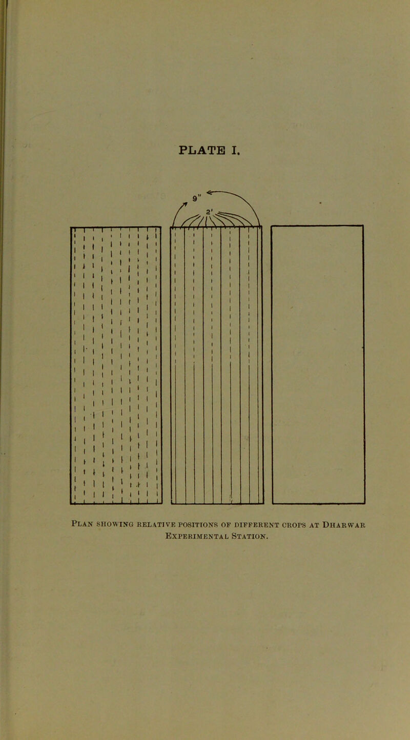 Plan showing relative positions of different crots at Dharwar Experimental Station.