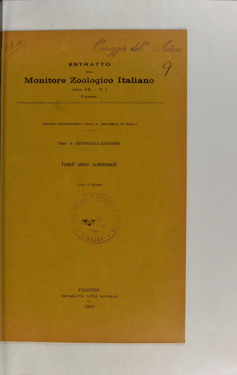 f ESTRATTO DAI. Monitore Zoologico Italiano Anno XX — N. 7. Fikmnzic. ISTITUTO ANTROPOLOGICO DELLA H. UNIVERSITÀ DI NAPOLI Prof. V. GUUFFRIDA-RUGGERI Fossili umani scimmieschi (Con 2 figure) b'IKEJSIZE T1FOGKAKIA LUIGI N1CCOLA1 1909