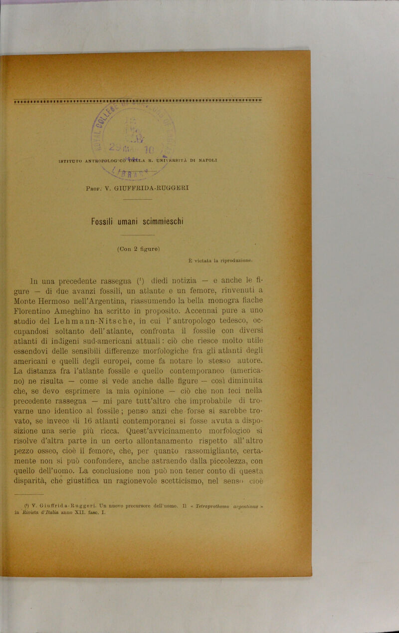 Ay: r -v ^ r /Sì , A • f „■ ^ - ili il; ISTITUTO ANT HO PO LOG ' CO IVKTTt.A II. UNIVKHSITÀ DI NATOLI . -i—4- Pkof. V. GIUFFRIDA-RUGGERI Fossili umani scimmieschi (Oon 2 figuro) È vietata la riproduzione. In una precedente rassegna (‘) diedi notizia — e anche le fi- gure — di due avanzi fossili, un atlante e un femore, rinvenuti a Monte Hermoso nell’Argentina, riassumendo la bella monogra finche Fiorentino Ameghino ha scritto in proposito. Accennai pure a uno studio del Lehmann-Nitsche, in cui l’antropologo tedesco, oc- cupandosi soltanto dell’ atlante, confronta il fossile con diversi atlanti di indigeni sud-americani attuali : ciò che riesce molto utile essendovi delle sensibili differenze morfologiche fra gli atlanti degli americani e quelli degli europei, come fa notare lo stesso autore. La distanza fra l’atlante fossile e quello contemporaneo (america- no) ne risulta — come si vede anche dalle figure — così diminuita che, se devo esprimere la mia opinione — ciò che non feci nella precedente rassegna — mi pare tutt’altro che improbabile di tro- varne uno identico al fossile ; penso anzi che forse si sarebbe tro- vato, se invece di 16 atlanti contemporanei si fosse avuta a dispo- sizione una serie più ricca. Quest’avvicinamento morfologico si risolve d’altra parte in un certo allontanamento rispetto all’altro pezzo osseo, cioè il femore, che, per quanto rassomigliante, certa- mente non si può confondere, anche astraendo dalla piccolezza, con quello dell’uomo. La conclusione non può non tener conto di questa disparità, che giustifica un ragionevole scetticismo, nel senso cioè (>) V. Giuffrida-Euggeri. Uii nuovo precursore dell’uomo. 11 « Telraprothomo argentimi# »