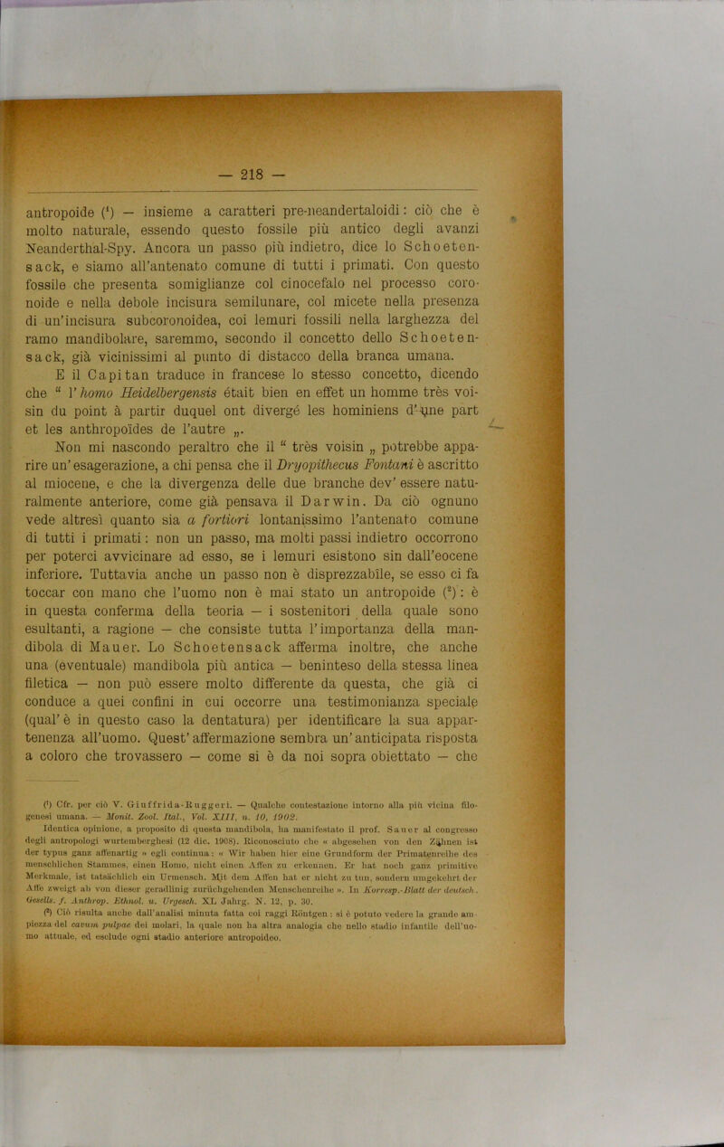 molto naturale, essendo questo fossile più antico degli avanzi Neanderthal-Spy. Ancora un passo più indietro, dice lo Schoeten- sack, e siamo all’antenato comune di tutti i primati. Con questo fossile che presenta somiglianze col cinocefalo nel processo coro- noide e nella debole incisura semilunare, col micete nella presenza di un’incisura subcoronoidea, coi lemuri fossili nella larghezza del ramo mandibolare, saremmo, secondo il concetto dello Schoeten- sack, già vicinissimi al punto di distacco della branca umana. E il Capitan traduce in francese lo stesso concetto, dicendo che “ V homo Heiclelbergensis était bien en efifet un homme très voi- sin du point à partir duquel ont divergè les hominiens d’-^ne part et les anthropo'ides de l’autre „. Non mi nascondo peraltro che il “ très voisin „ potrebbe appa- rire un’esagerazione, a chi pensa che il Dryopithecus Fontani è ascritto al miocene, e che la divergenza delle due branche dev’ essere natu- ralmente anteriore, come già pensava il Darwin. Da ciò ognuno vede altresì quanto sia a fortiori lontanissimo l’antenato comune di tutti i primati : non un passo, ma molti passi indietro occorrono per poterci avvicinare ad esso, se i lemuri esistono sin dall’eocene inferiore. Tuttavia anche un passo non è disprezzabile, se esso ci fa toccar con mano che l’uomo non è mai stato un antropoide (2) : è in questa conferma della teoria — i sostenitori della quale sono esultanti, a ragione — che consiste tutta l’importanza della man- dibola di Mauer. Lo Schoetensack afferma inoltre, che anche una (eventuale) mandibola più antica — beninteso della stessa linea filetica — non può essere molto differente da questa, che già ci conduce a quei confini in cui occorre una testimonianza speciale (qual’ è in questo caso la dentatura) per identificare la sua appar- tenenza all’uomo. Quest’ affermazione sembra un’ anticipata risposta a coloro che trovassero — come si è da noi sopra obiettato — che (') Cfr. per ciò V. Giuffrida-Ruggeri. — Qualche contestazione intorno alla più vicina filo- genesi umana. — Monit. Zool. Ital., Voi. XIII, n. IO, 1902. Identica opinione, a propòsito di questa mandibola, ha manifestato il prof. Saucr al congresso degli antropologi wurtomborghesi (12 die. 1908). Riconosciuto elio « abgesehen voli don Zzimeli ist der typus ganz afì'enartig » ogli continua: « Wir liaben bici- eine Grundform dei- Primatenreibo dos menschlichen Stammes, einen Homo, niclit oinon Alien zu erkennen. Er hat nodi ganz primitive Morkinalo, ist tatsiichlich ein Urnionsch. MJt dem Affen hat er niclit zu tuli, sornioni uiiigekelirt der Alle zweigt ab von diesel- geradliuig zuriichgehonden Meuschonreilie ». Ili Korresp.-Jiktti der dettiseli. Oesells. f. Anthrop. Ethnol. u. Urgesch. XL Jalirg. N. 12, p. 30. (J) Ciò risulta anche dall’analisi minuta fatta coi raggi Rontgen : si è potuto vedere la grande am- piezza del camini pulpac dei molari, la quale non ha altra analogia che nello stadio infantile dell’uo- mo attuale, ed esclude ogni stadio anteriore antropoideo.