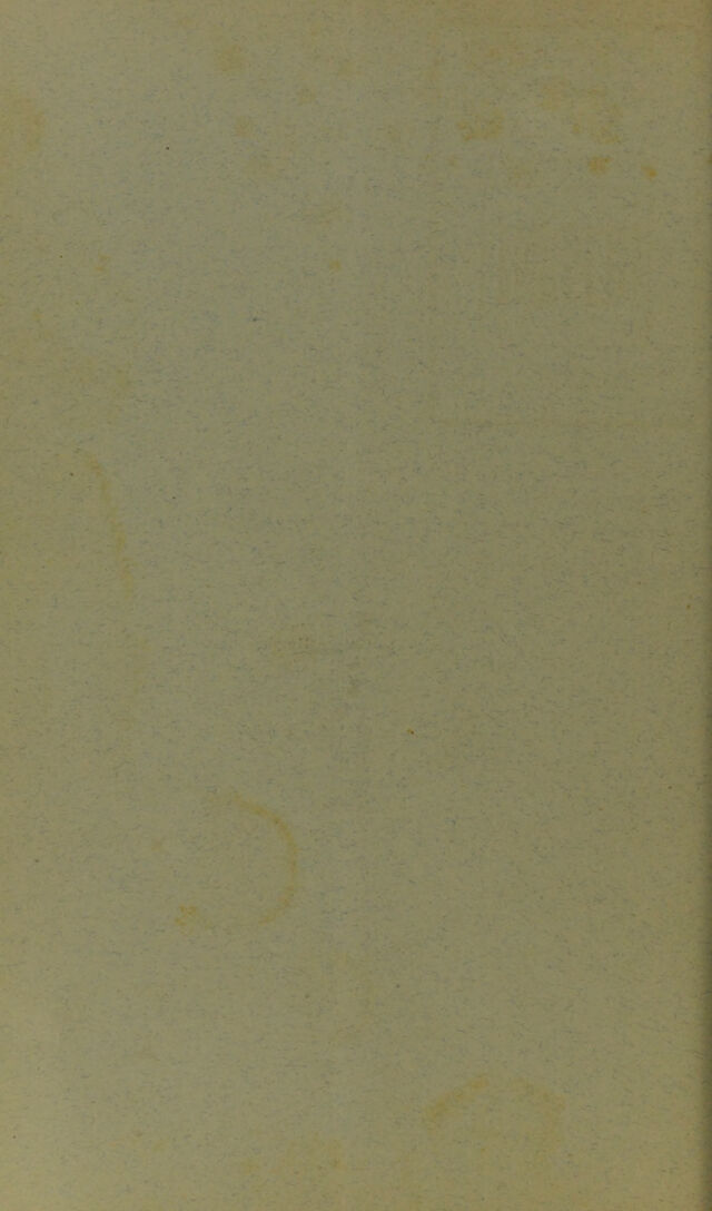 digitised image 2