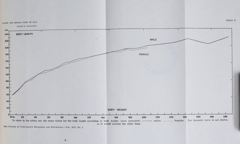 mm. 240 220 200 180 160 140 120 100 80 SPINAL CORD OF RAT. HENRY H. DONALDSON. _L _L _L_ _L _L _L _1_ BODY WEIGHT _J I I _L 5ms. 20 40 60 80 100 120 140 160 180 200 To show in the albino rat, the mean values for the body length according to body weight, sexes separated; 220 240 260 280 300 320 males females. The theoretic curve is not drawn, as it would confuse the other lines.