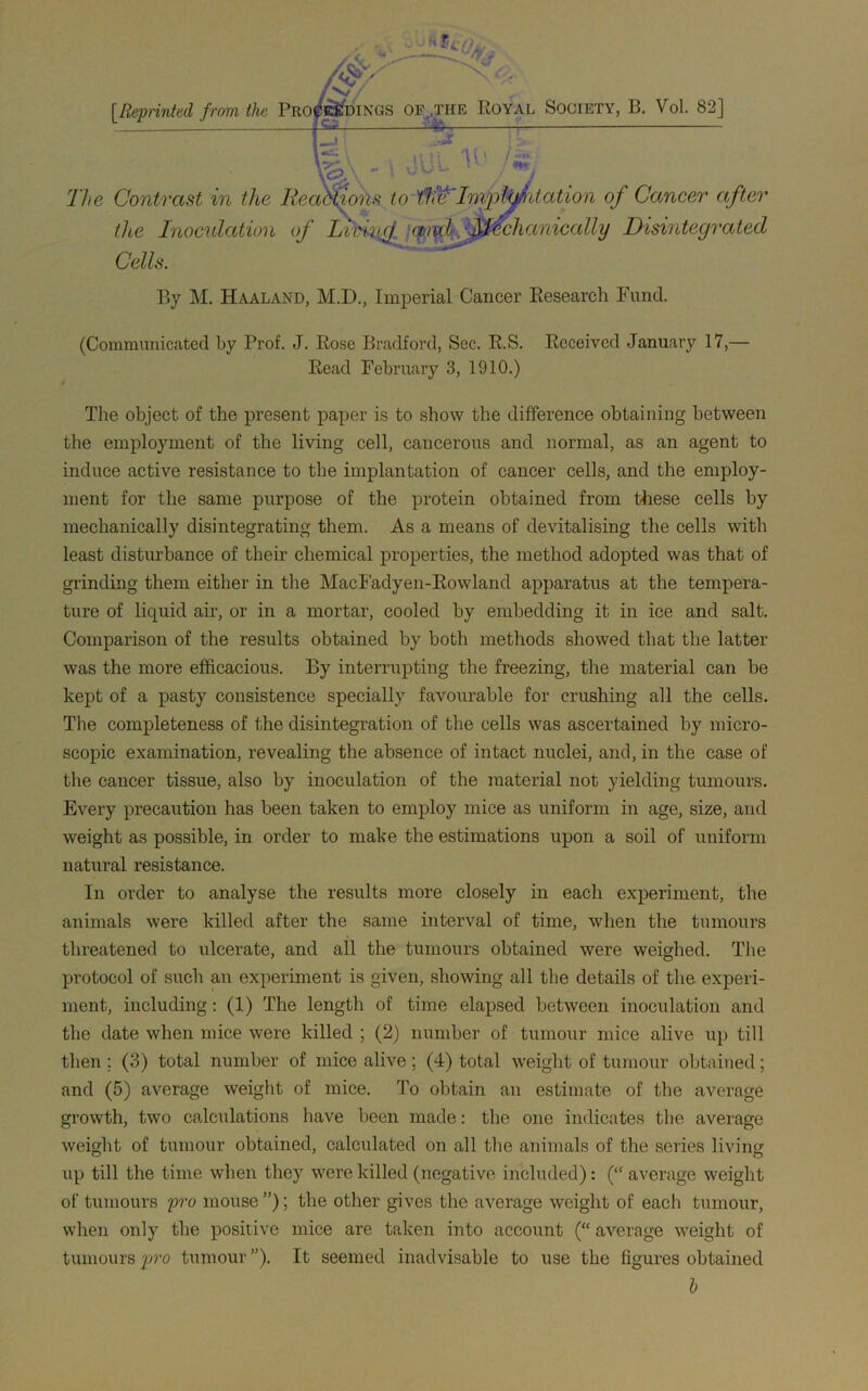 [Reprinted from the PRO^gfoiNGS of,.the Royal Society, B. Vol. 82] - \ viUt !**. The Contrast in the Reactions to Importation of Cancer after the Inoculation of Living and Mechanically Disintegrated Cells. By M. Haaland, M.D., Imperial Cancer Research Fund. (Communicated by Prof. J. Rose Bradford, Sec. R.S. Received January 17,— Read February 3, 1910.) The object of the present paper is to show the difference obtaining between the employment of the living cell, cancerous and normal, as an agent to induce active resistance to the implantation of cancer cells, and the employ- ment for the same purpose of the protein obtained from these cells by mechanically disintegrating them. As a means of devitalising the cells with least disturbance of their chemical properties, the method adopted was that of grinding them either in the MacFadyen-Rowland apparatus at the tempera- ture of liquid air, or in a mortar, cooled by embedding it in ice and salt. Comparison of the results obtained by both methods showed that the latter was the more efficacious. By interrupting the freezing, the material can be kept of a pasty consistence specially favourable for crushing all the cells. The completeness of the disintegration of the cells was ascertained by micro- scopic examination, revealing the absence of intact nuclei, and, in the case of the cancer tissue, also by inoculation of the material not yielding tumours. Every precaution has been taken to employ mice as uniform in age, size, and weight as possible, in order to make the estimations upon a soil of uniform natural resistance. In order to analyse the results more closely in each experiment, the animals were killed after the same interval of time, when the tumours threatened to ulcerate, and all the tumours obtained were weighed. The protocol of such an experiment is given, showing all the details of the experi- ment, including: (1) The length of time elapsed between inoculation and the date when mice were killed ; (2) number of tumour mice alive up till then; (3) total number of mice alive; (4) total weight of tumour obtained; and (5) average weight of mice. To obtain an estimate of the average growth, two calculations have been made: the one indicates the average weight of tumour obtained, calculated on all the animals of the series living up till the time when they were killed (negative included): (“ average weight of tumours pro mouse ”); the other gives the average weight of each tumour, when only the positive mice are taken into account (“ average weight of tumours pro tumour ”). It seemed inadvisable to use the figures obtained h