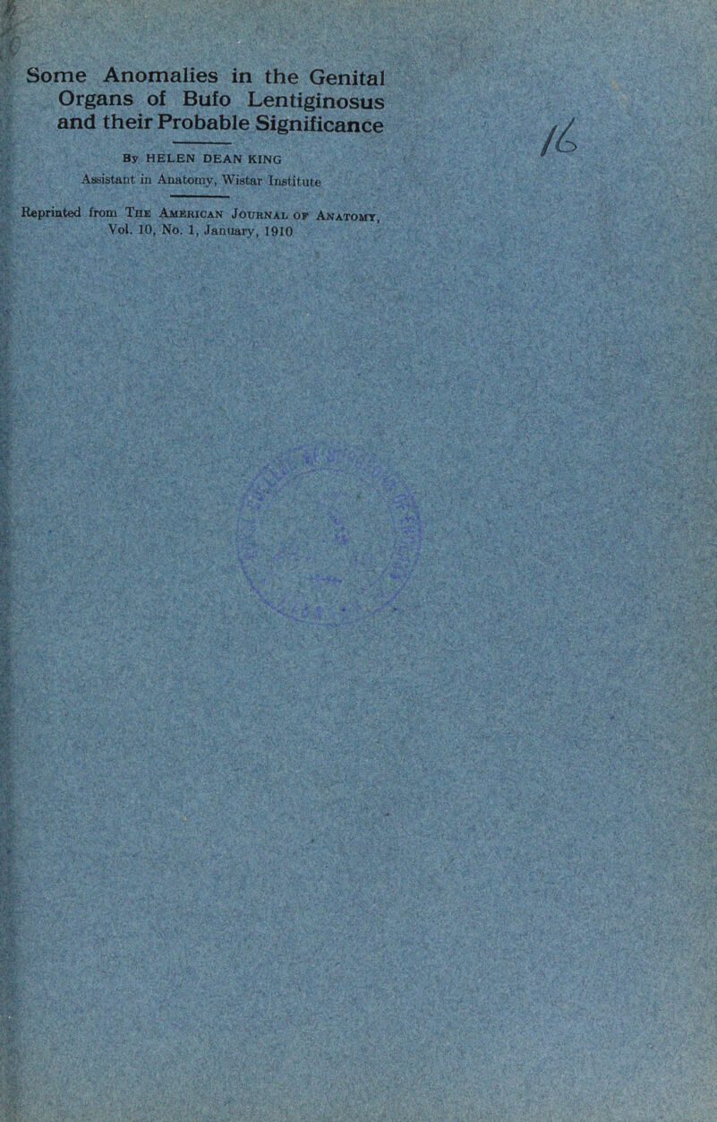 Some Anomalies in the Genital Organs of Bufo Lentiginosus and their Probable Significance By HELEN DEAN KING Assistant in Anatomy, Wistar Institute Reprinted from The American Journal of Anatomy, Vol. 10, No. 1, January, 1910