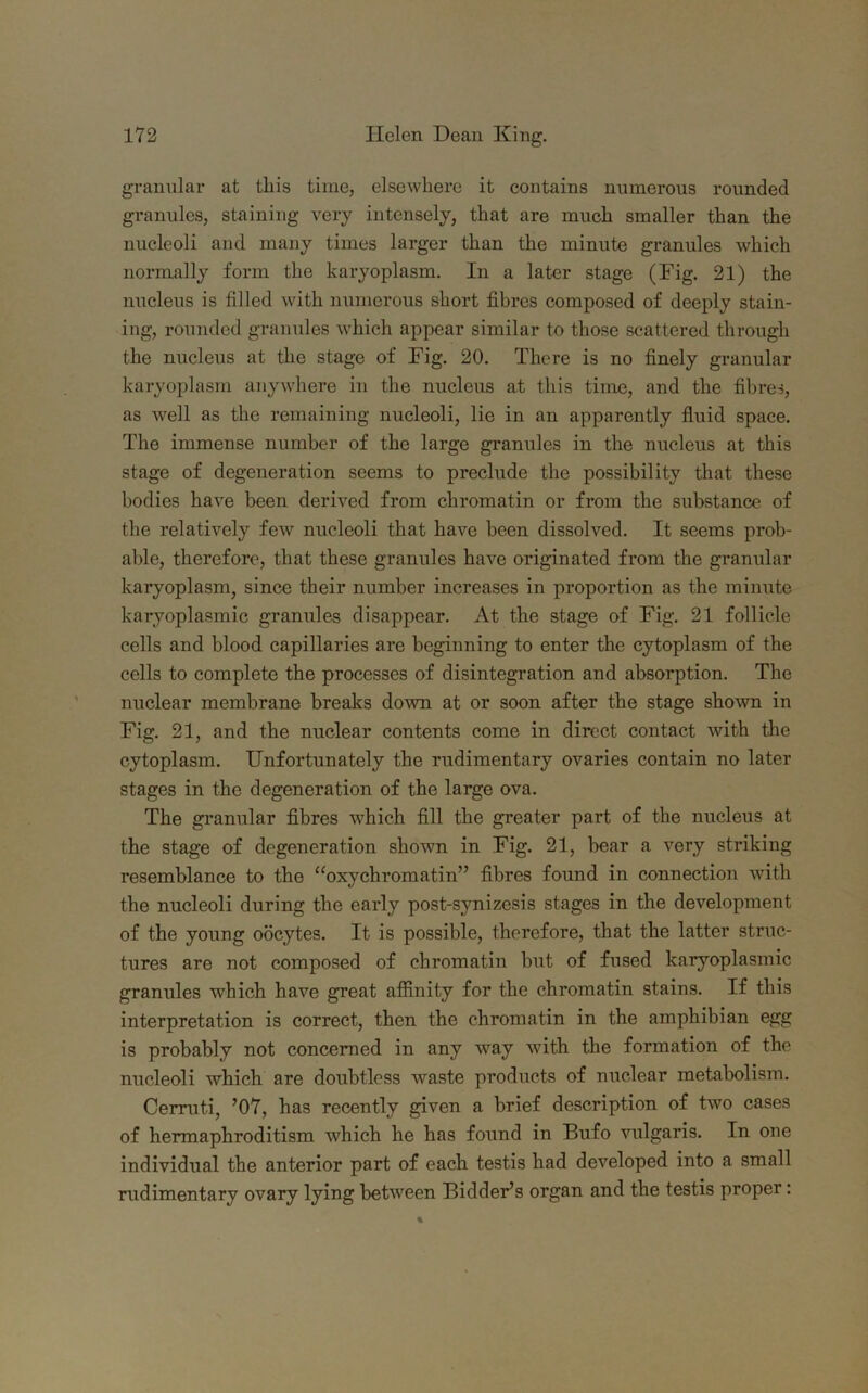 granular at this time, elsewhere it contains numerous rounded granules, staining very intensely, that are much smaller than the nucleoli and many times larger than the minute granules which normally form the karyoplasm. In a later stage (Fig. 21) the nucleus is filled with numerous short fibres composed of deeply stain- ing, rounded granules which appear similar to those scattered through the nucleus at the stage of Fig. 20. There is no finely granular karyoplasm anywhere in the nucleus at this time, and the fibres, as well as the remaining nucleoli, lie in an apparently fluid space. The immense number of the large granules in the nucleus at this stage of degeneration seems to preclude the possibility that these bodies have been derived from chromatin or from the substance of the relatively few nucleoli that have been dissolved. It seems prob- able, therefore, that these granules have originated from the granular karyoplasm, since their number increases in proportion as the minute karyoplasmic granules disappear. At the stage of Fig. 21 follicle cells and blood capillaries are beginning to enter the cytoplasm of the cells to complete the processes of disintegration and absorption. The nuclear membrane breaks down at or soon after the stage shown in Fig. 21, and the nuclear contents come in direct contact with the cytoplasm. Unfortunately the rudimentary ovaries contain no later stages in the degeneration of the large ova. The granular fibres which fill the greater part of the nucleus at the stage of degeneration shown in Fig. 21, bear a very striking resemblance to the “oxychromatin” fibres found in connection with the nucleoli during the early post-synizesis stages in the development of the young oocytes. It is possible, therefore, that the latter struc- tures are not composed of chromatin but of fused karyoplasmic granules which have great affinity for the chromatin stains. If this interpretation is correct, then the chromatin in the amphibian egg is probably not concerned in any way with the formation of the nucleoli which are doubtless waste products of nuclear metabolism. Cerruti, ’07, has recently given a brief description of two cases of hermaphroditism which he has found in Bufo vulgaris. In one individual the anterior part of each testis had developed into a small rudimentary ovary lying between Bidder’s organ and the testis proper: