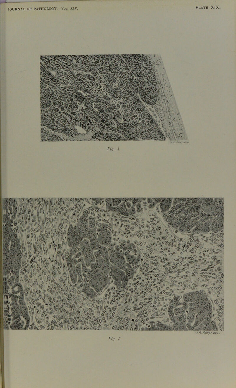 I Fig. 4. i^iiP ■=^ Q 'O&S Mo, V ©. ■ I'l ‘ ^ 4 cz ^)Cy«A OOo ■df o O. ; \?q vgxi fe-taft 6 * ■» ^ ^ <3 cri^oo «=» O A <2>0^ & Si *•«?.«/« i ’.f> «> <£>o >o cs cs o tif - ^'^0-5 *s» '^,.4.(?xQ >-S5k ^ '’o ■ O ‘♦1 'fT il^O' '’*=» ■* 5 ^ ? r ciV ^ ' #0 0 L'll ?A «?),0L_^.. ,\ ■ *-=0^ s>. V u Oti..